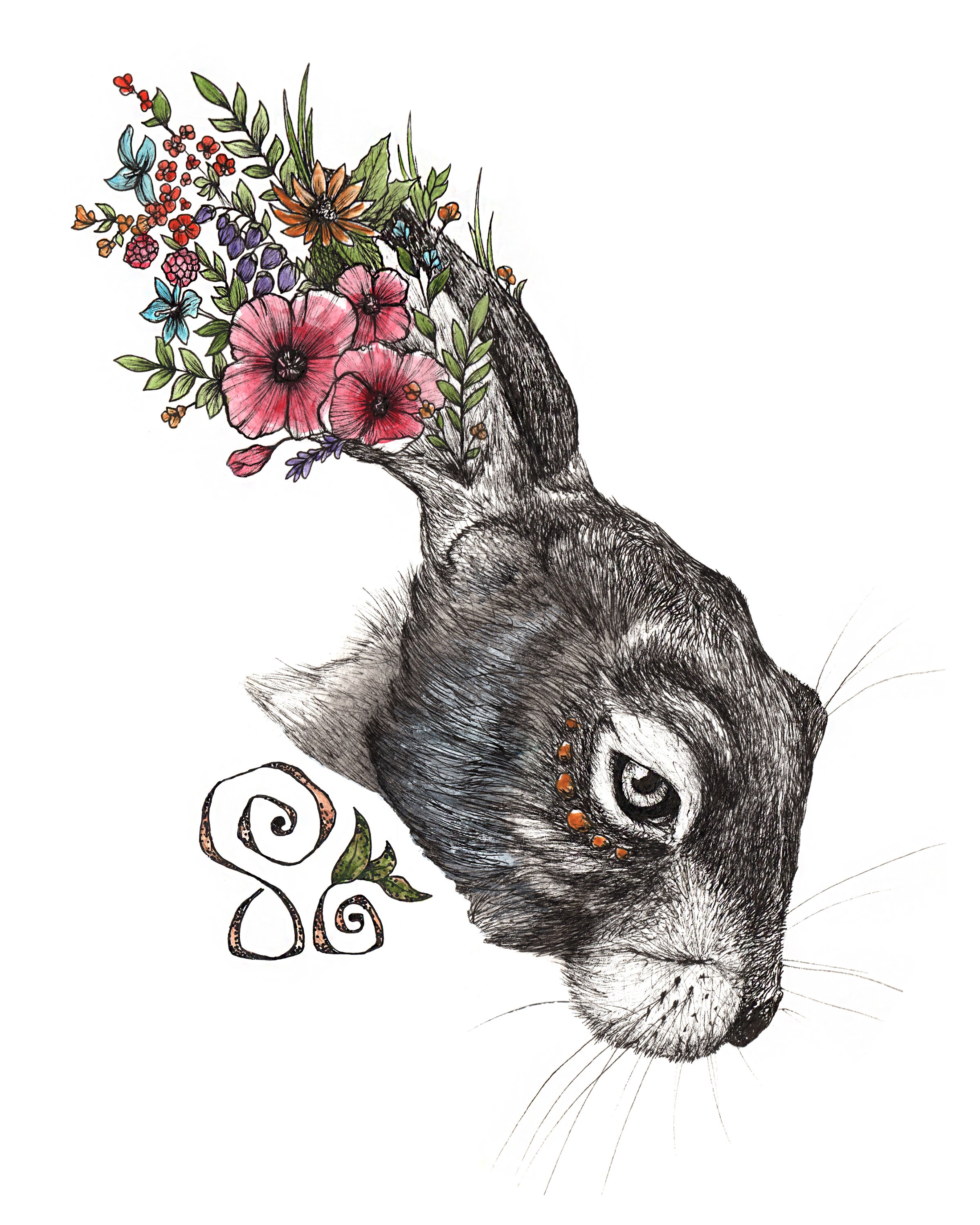 Hare 8x10.jpg