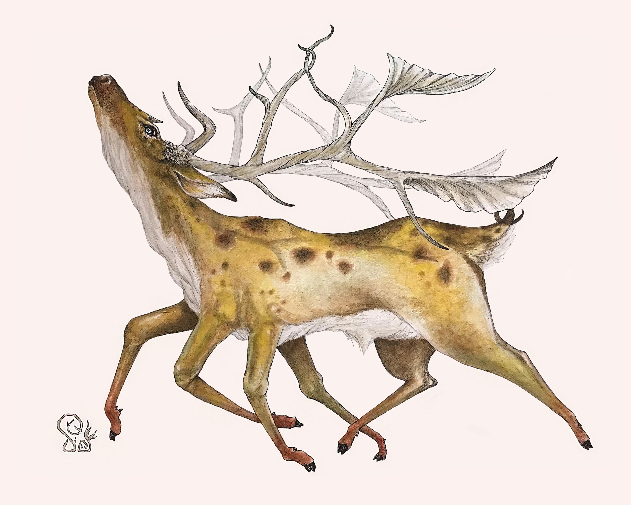 Stag 2 8x10.jpg