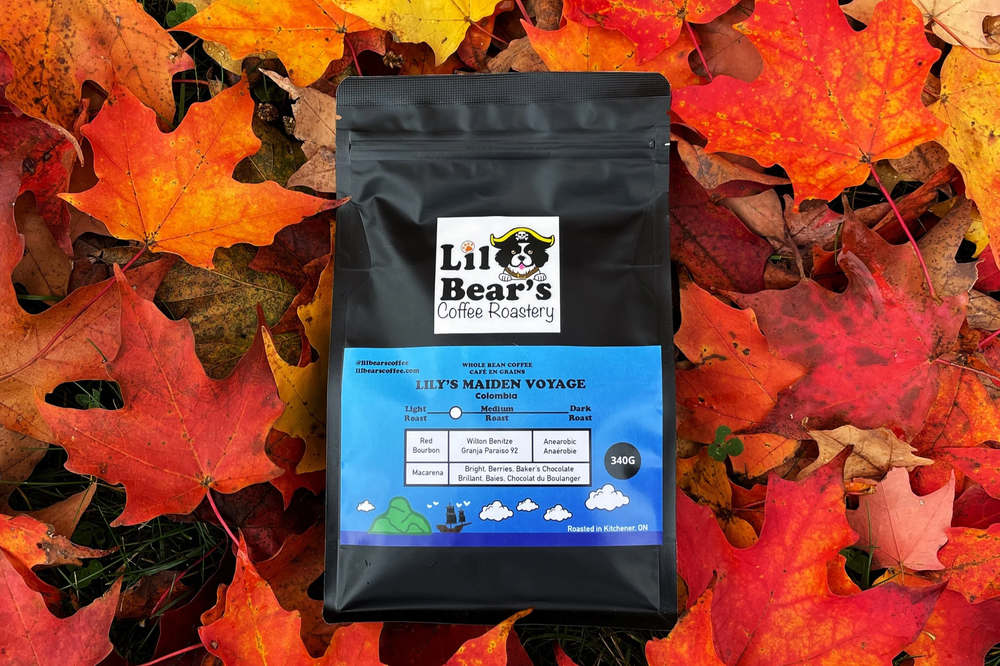 Lily's Maiden Voyage: Red Bourbon P-02 From Colombia — Lil Bear's
