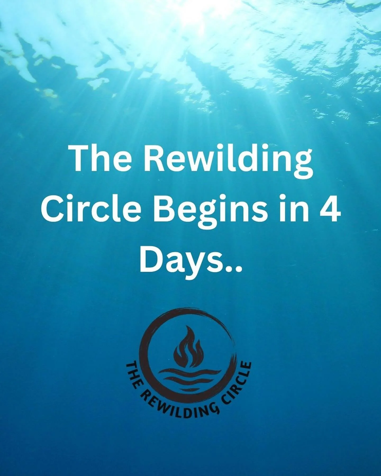 A new season of The Rewilding Circle kicks off again in 4 days. 🔥🌊
The Founder’s Circle season pass priority ends tonight.
After that, single-night events open to the wider community.
This is a small, committed group of men stepping into so