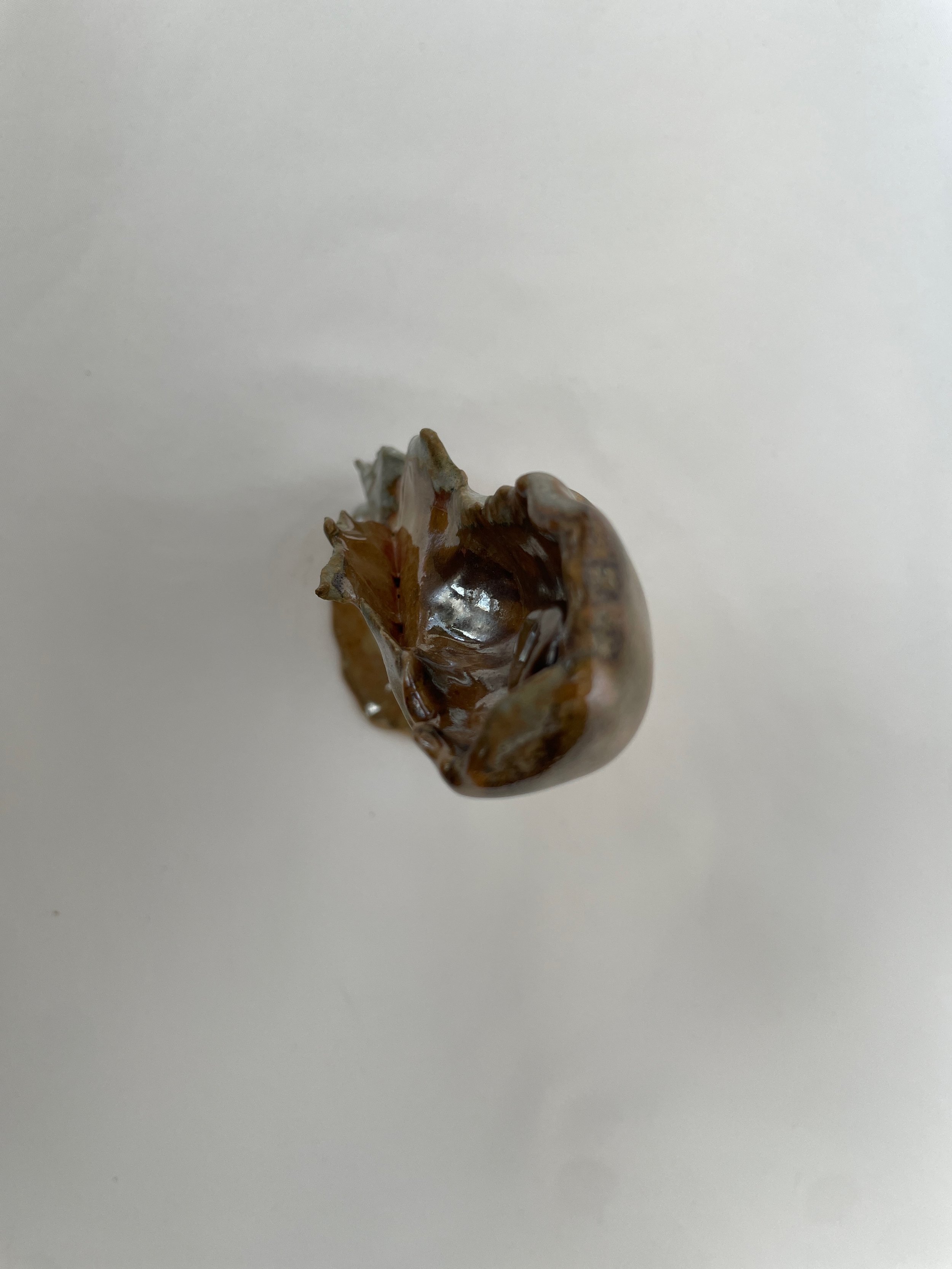 IMG_4687.jpeg