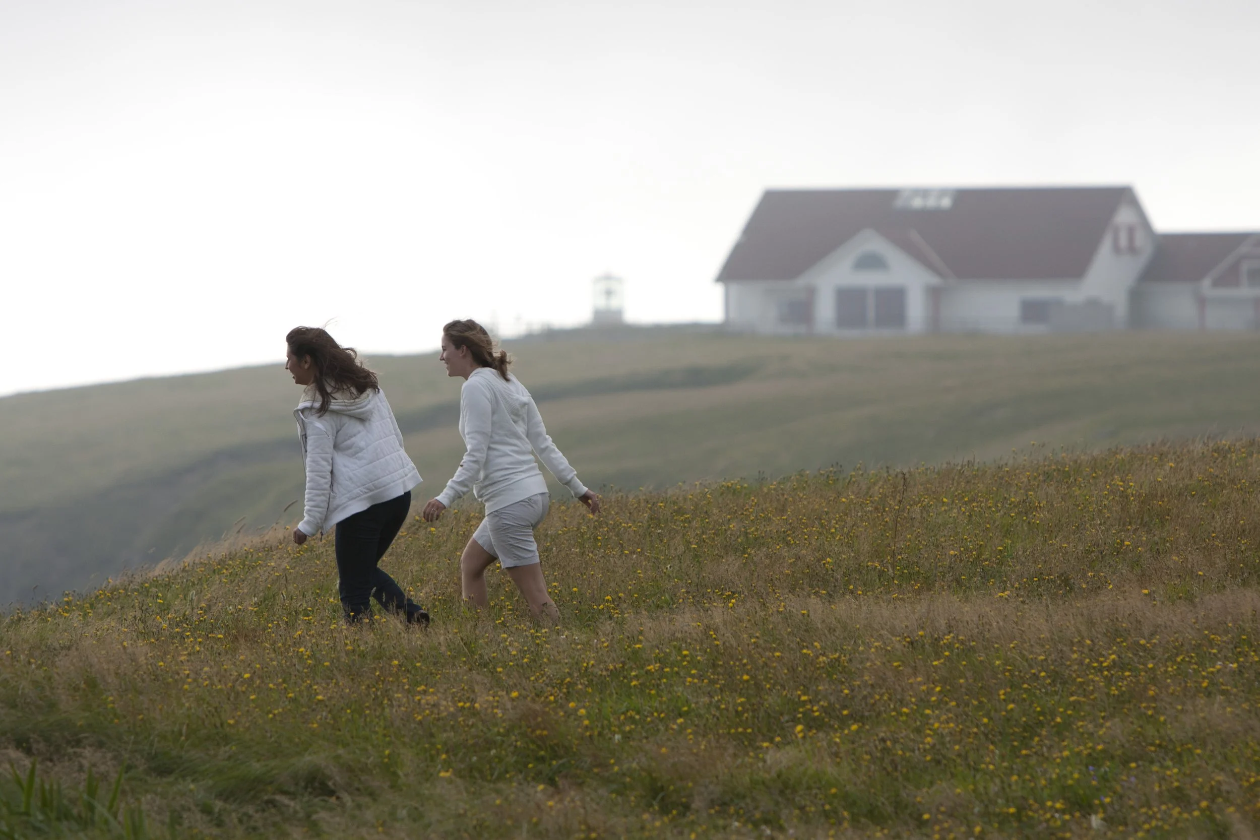 Two women walking on a grassy hillside with yellow flowers, with the Cape St. Mary's Ecological Reserve Interpretation Center in the background. Located on the Southern Avalon Peninsula on Newfoundland's Cape Shore.