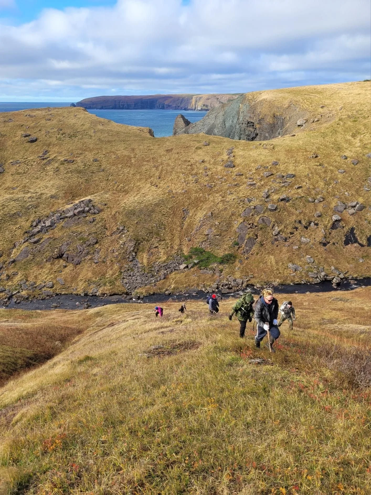 Group of hikers walking up a Big Gulch Valley near Cape St. Mary's, a grassy hill with a river and cliffs in the background under a cloudy sky.
