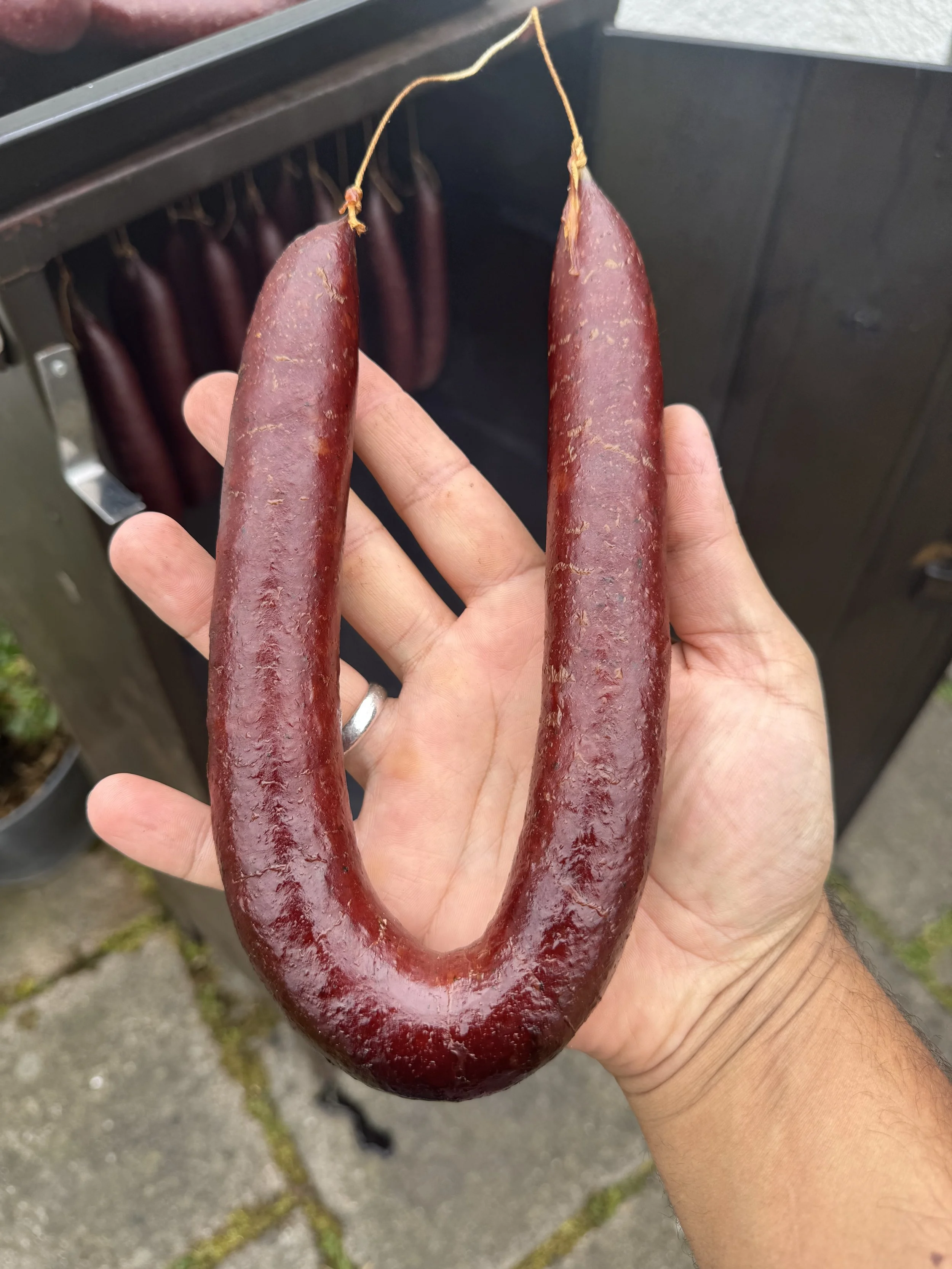 A person's hand holding a large, curved, reddish-purple sausage with a string tied at one end. In the background, there are more sausages hanging in a smoker or rack.