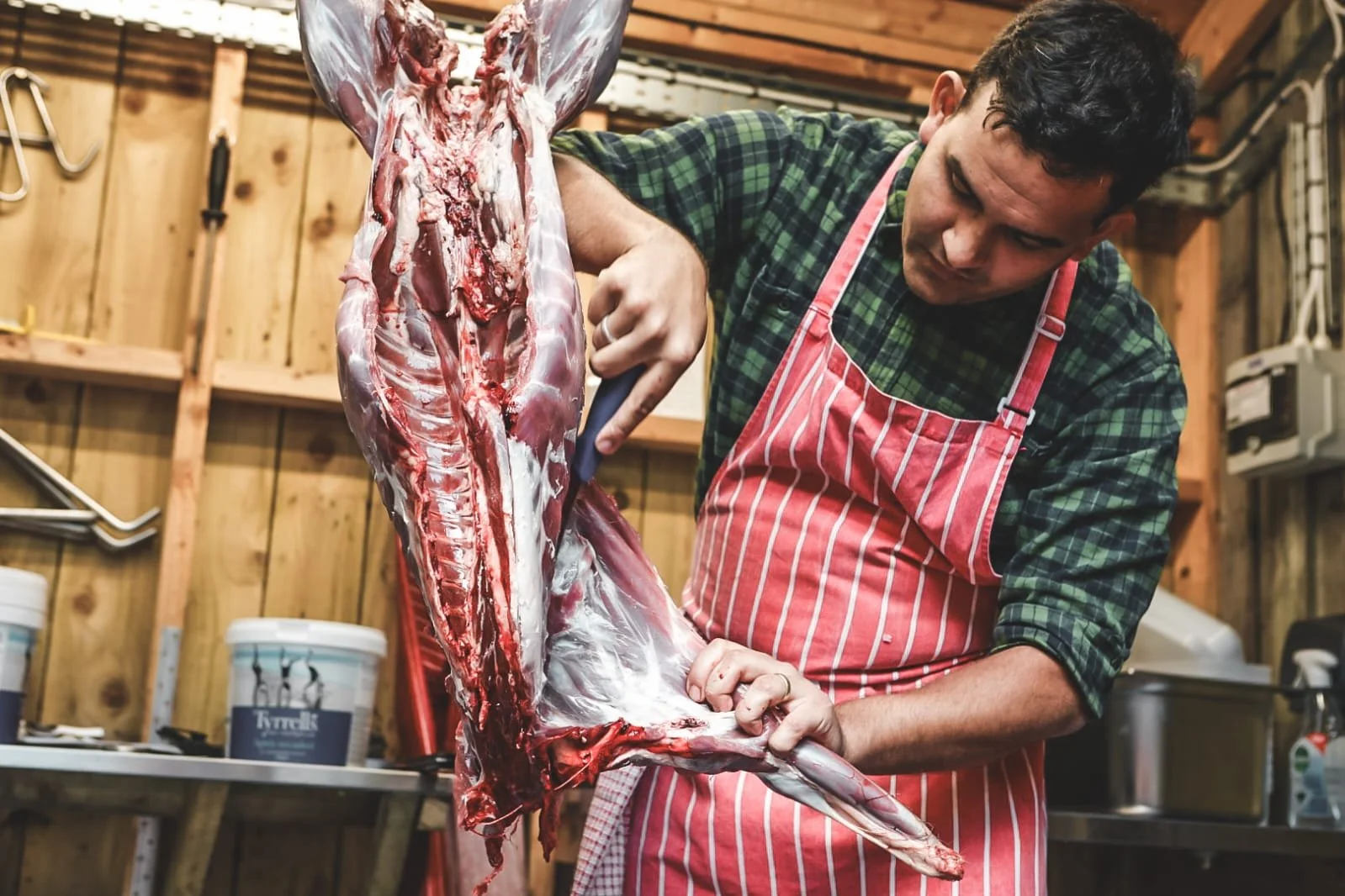 A man wearing a green plaid shirt and red striped apron butchering a large animal carcass in a wood-paneled workshop. The carcass is hanging, and the man is using a knife to cut it.