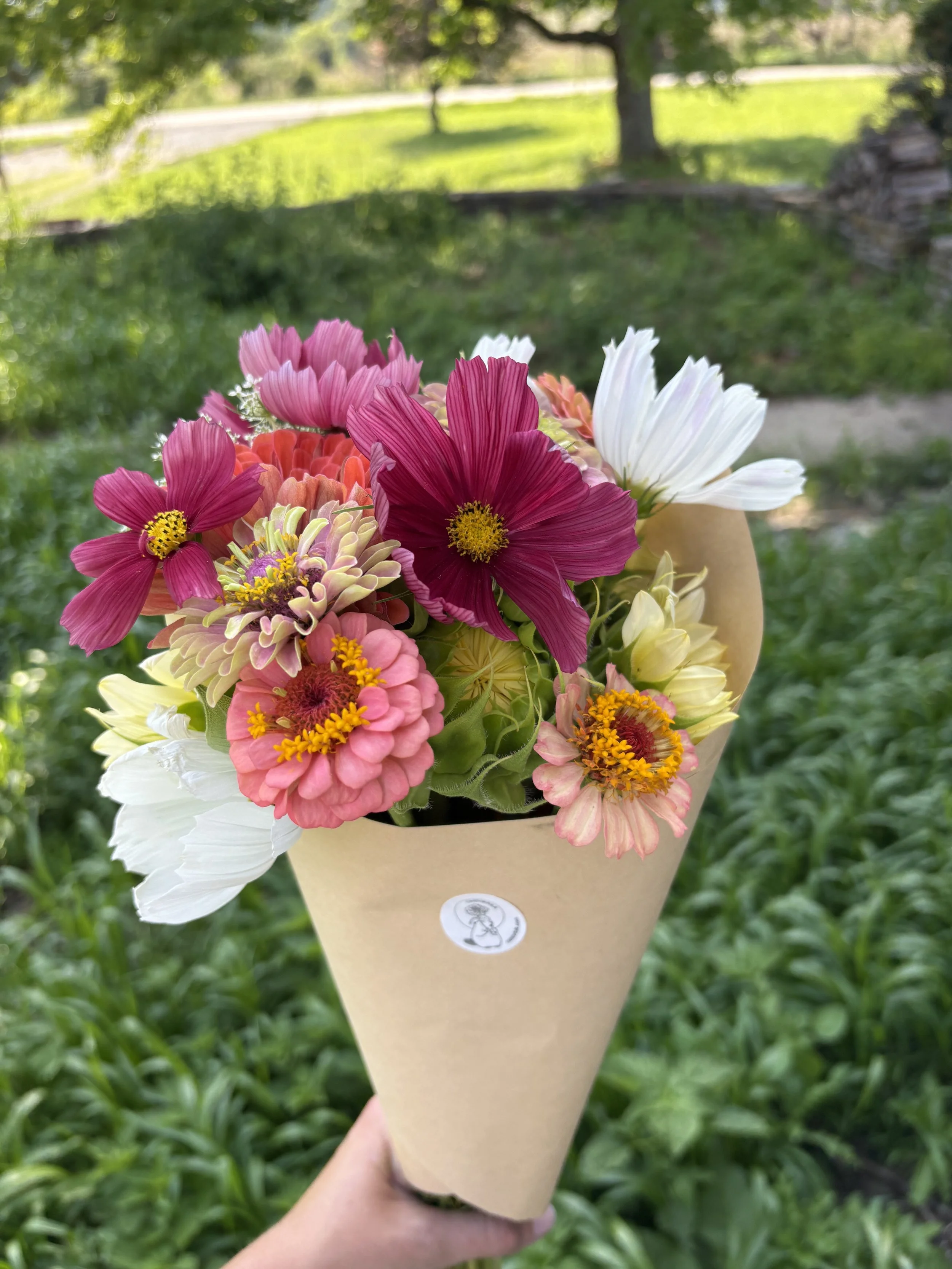 Full Summer Subscription (6 weeks)