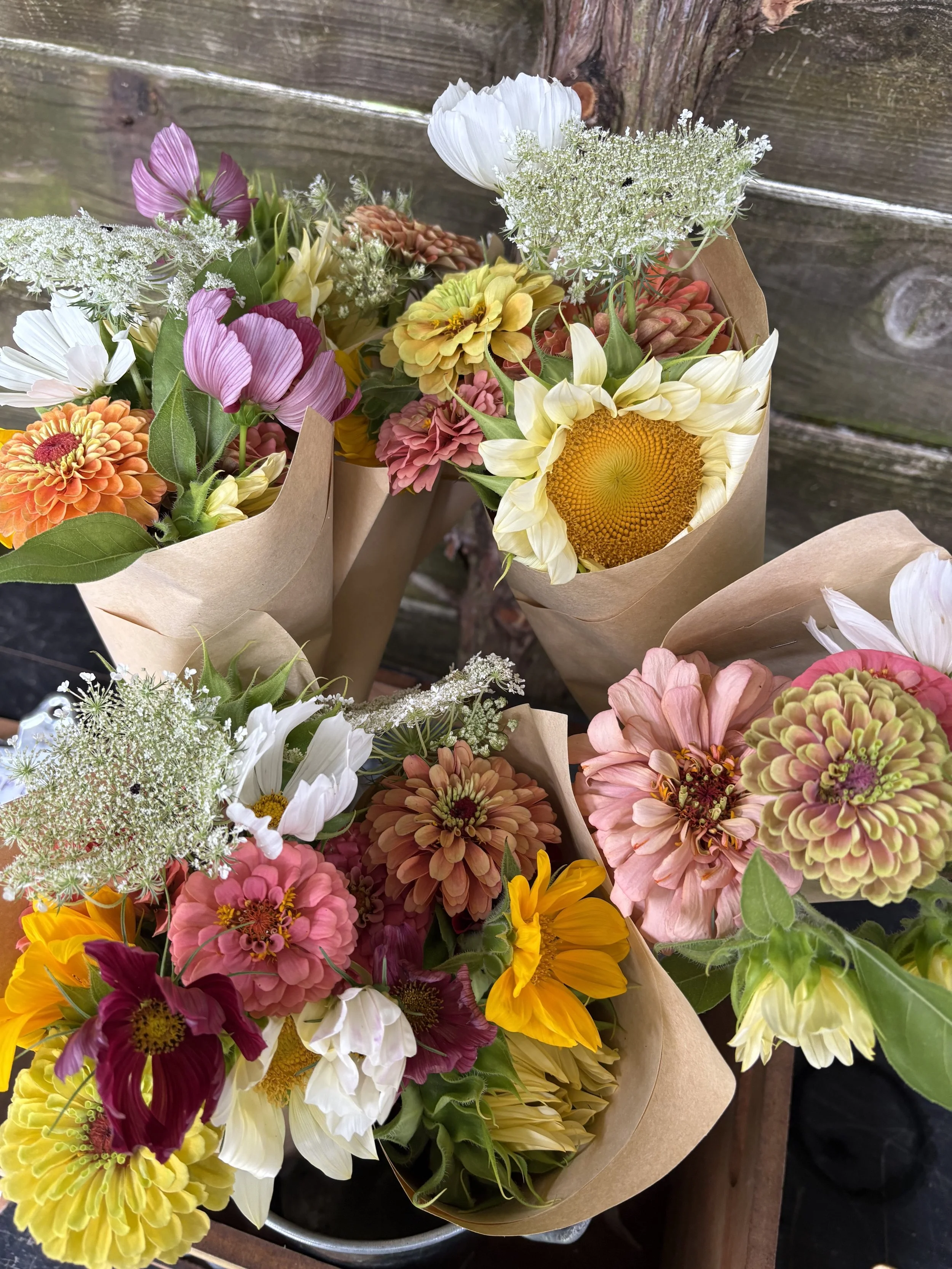 Mini Summer Flower Subscription 2026 (4 weeks)