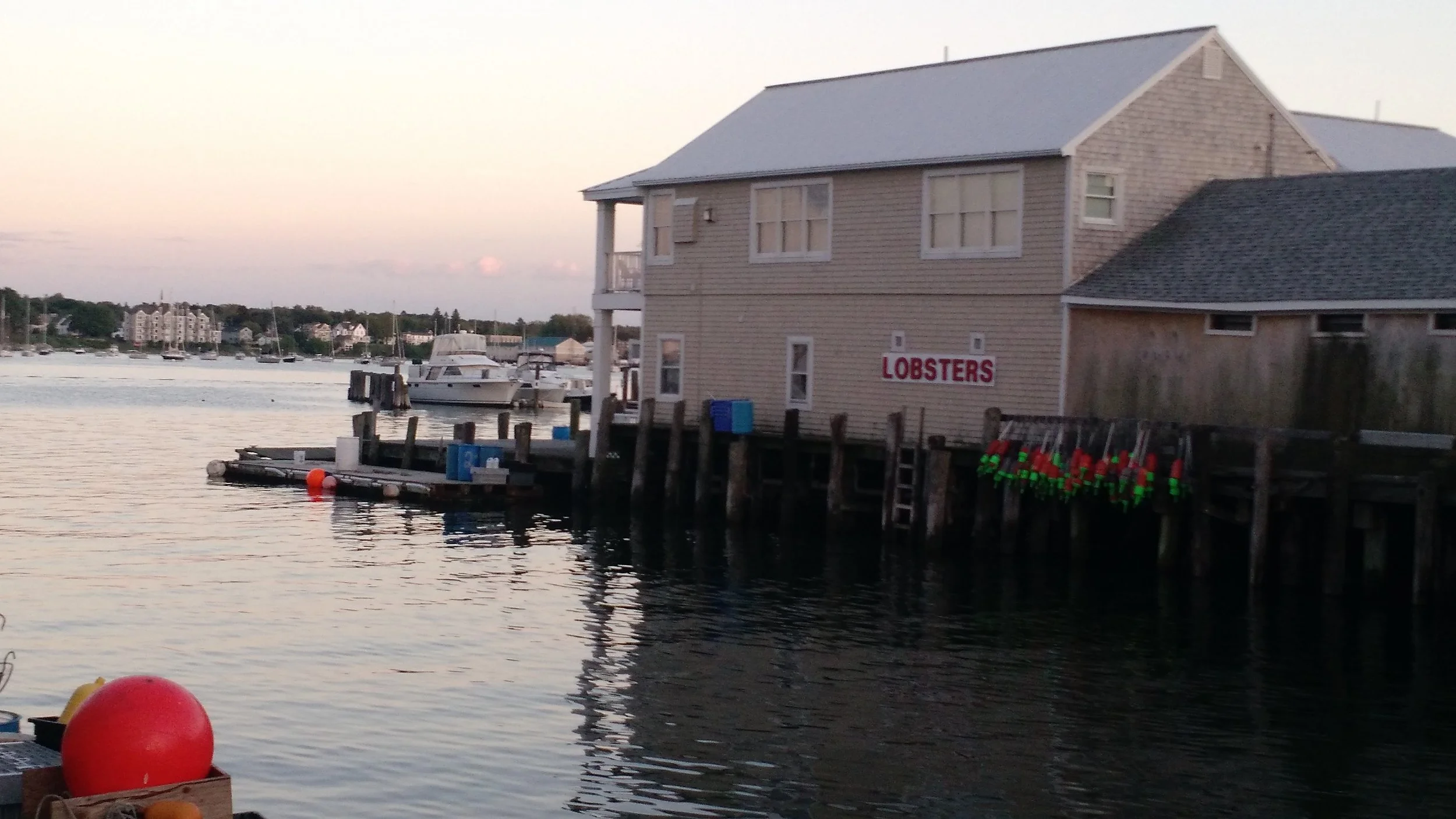 IMG_20160615_201418796.jpg