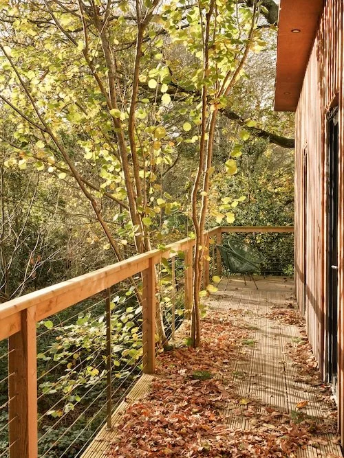 Decking overlooking the stream with views of Carrick Mountain