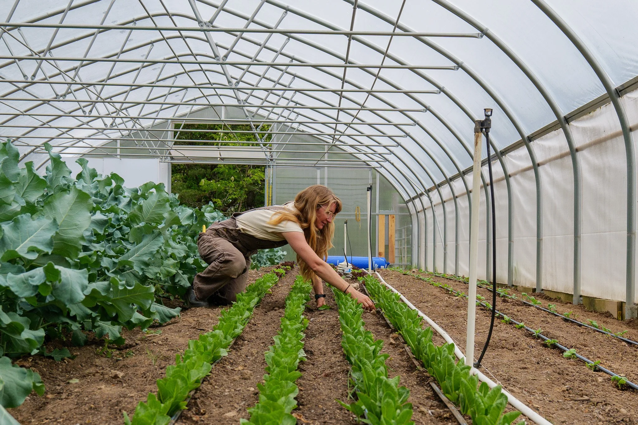 katthefarmer-06.jpg