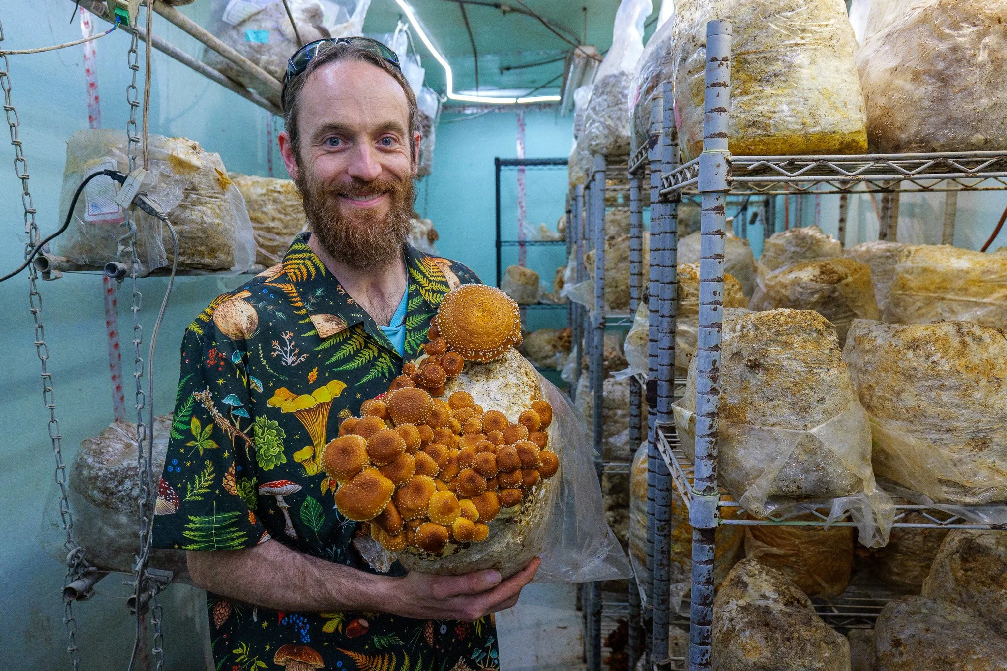 Part Farm, Part Mad Science: Den Hill Farm &amp; Fungi