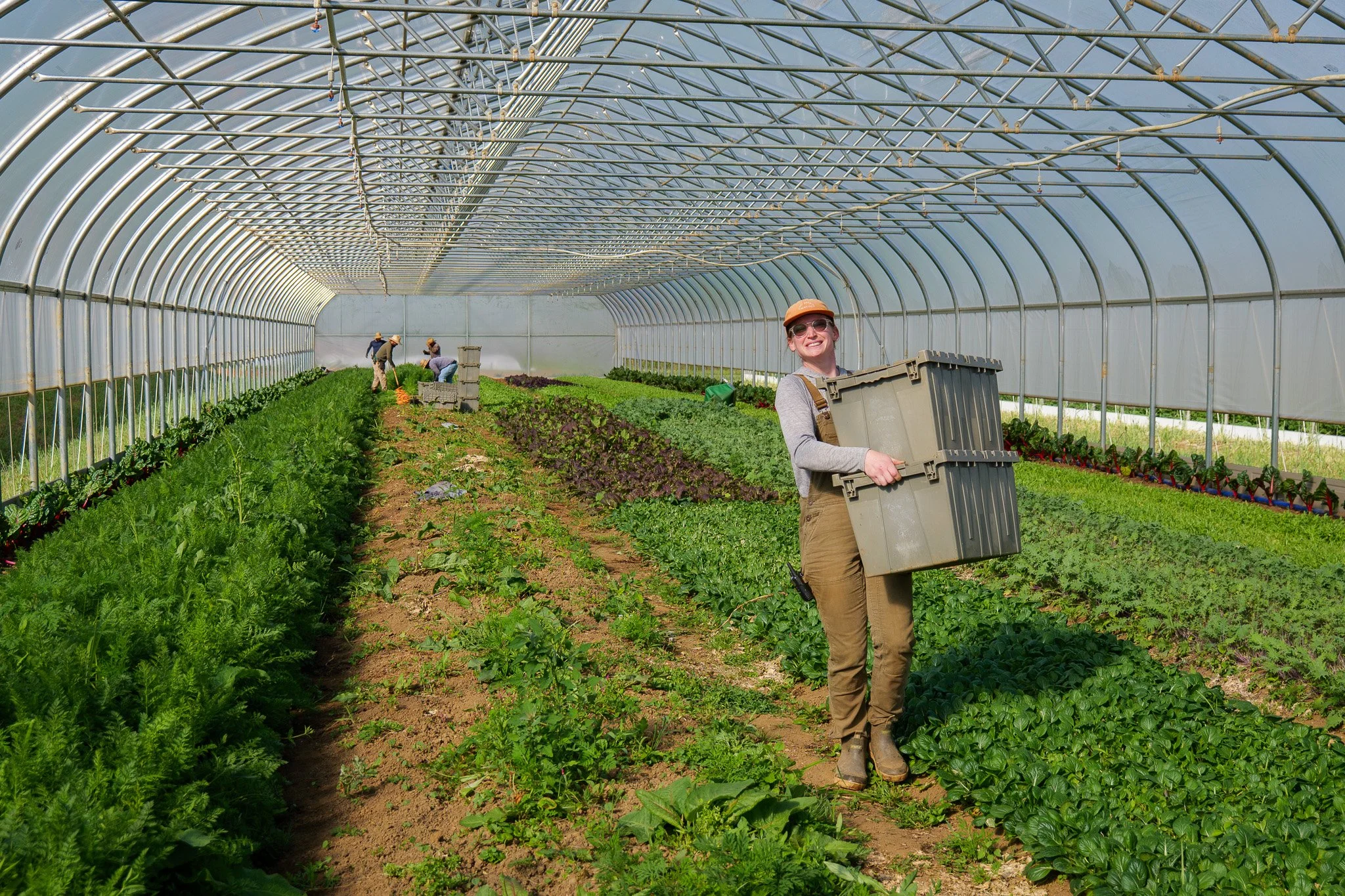 Community and Camaraderie: Riverstone Organic Farm
