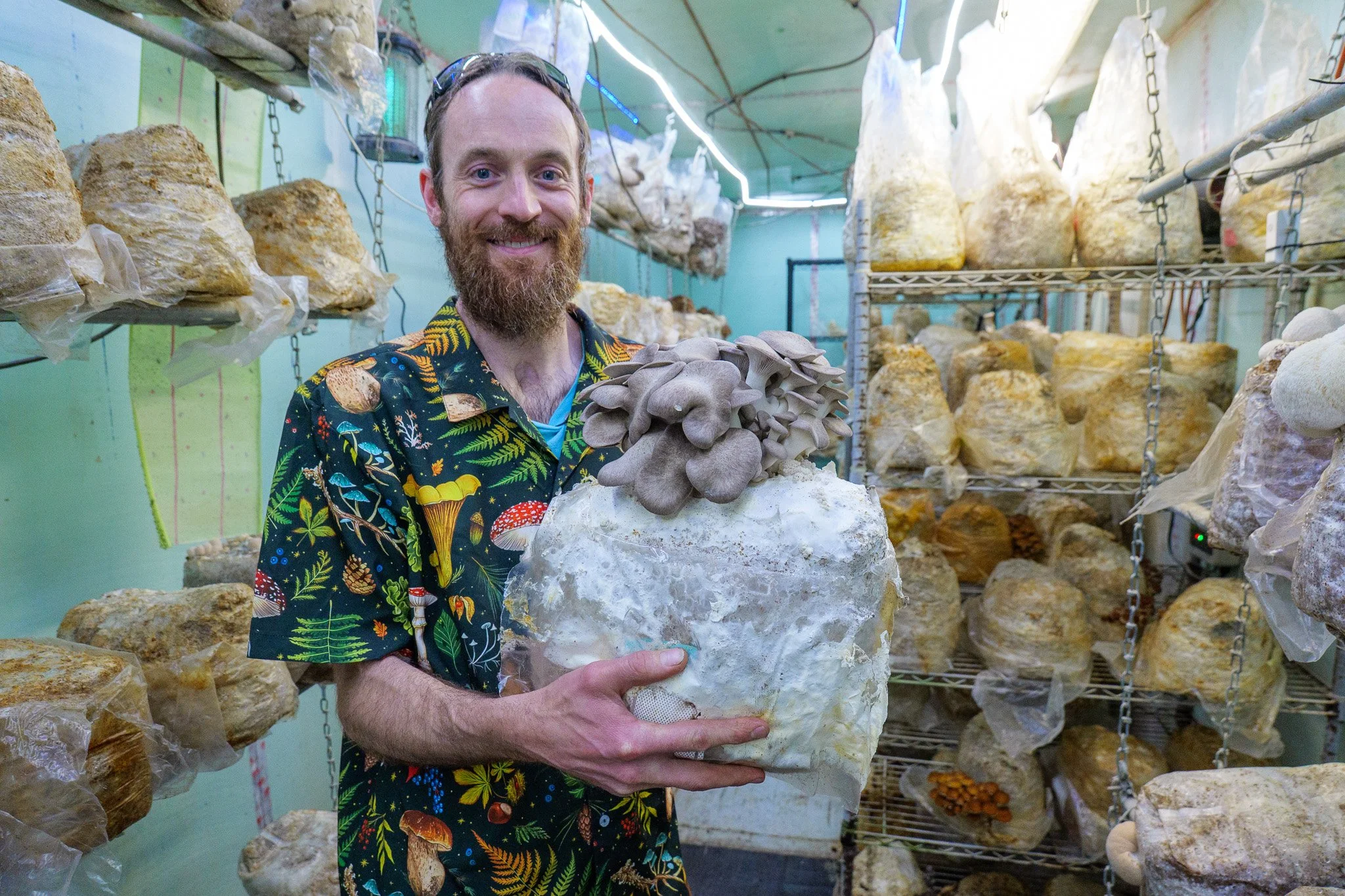 Den Hill Farm &amp; Fungi