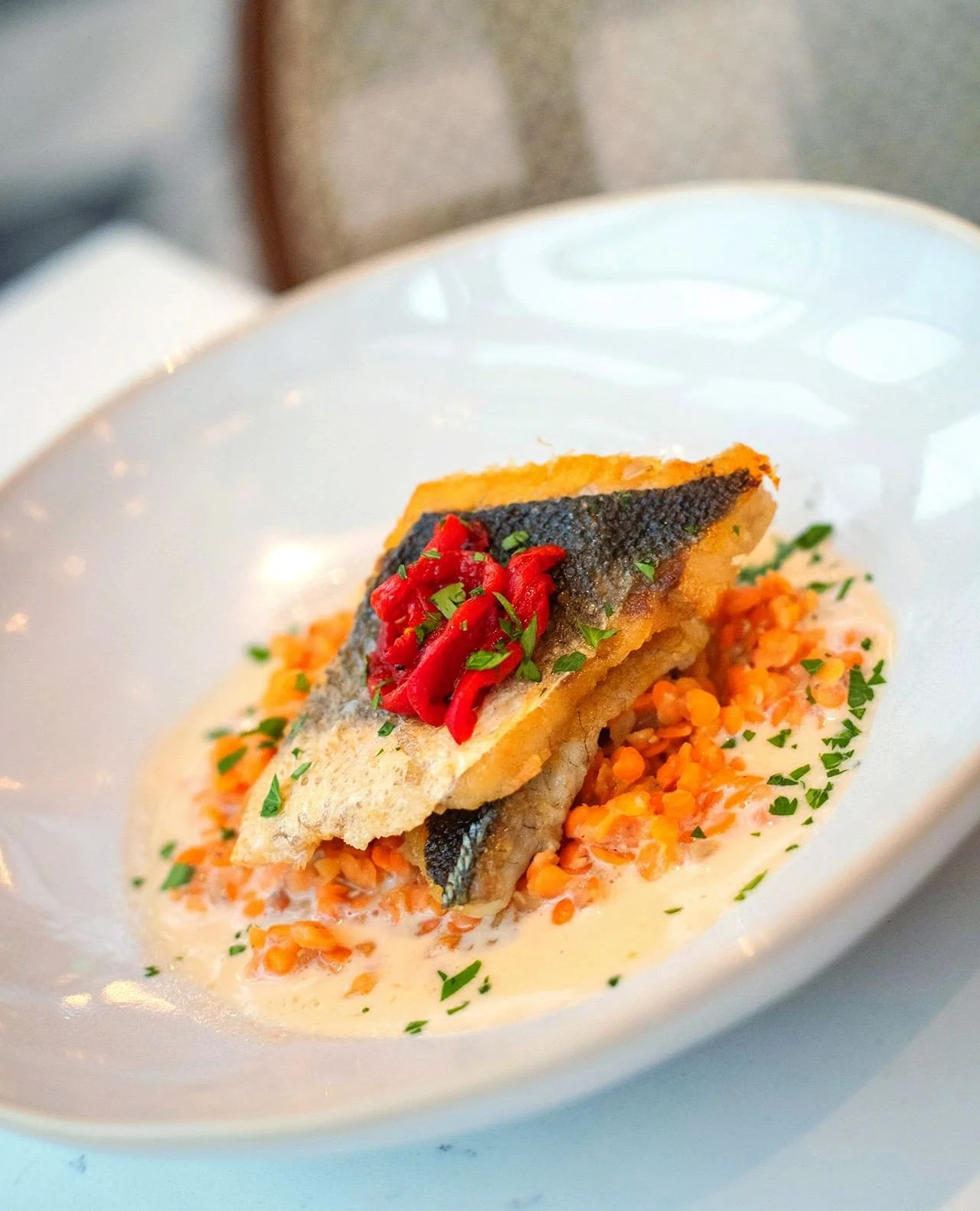 If sea bass is on the menu, you order the sea bass.⁠
⁠
PAN ROASTED SEA BASS &mdash; serrano cream, smoked lentils, marinated piquillo⁠
⁠
Rich, smoky, bright, and quickly becoming one of those dishes guests order again and again. ⁠
⁠
Try it tonight at
