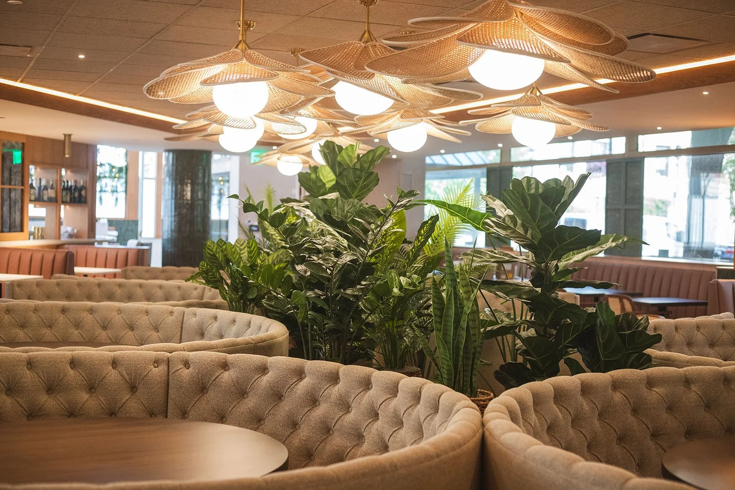 Vivienne Coastal Mediterranean