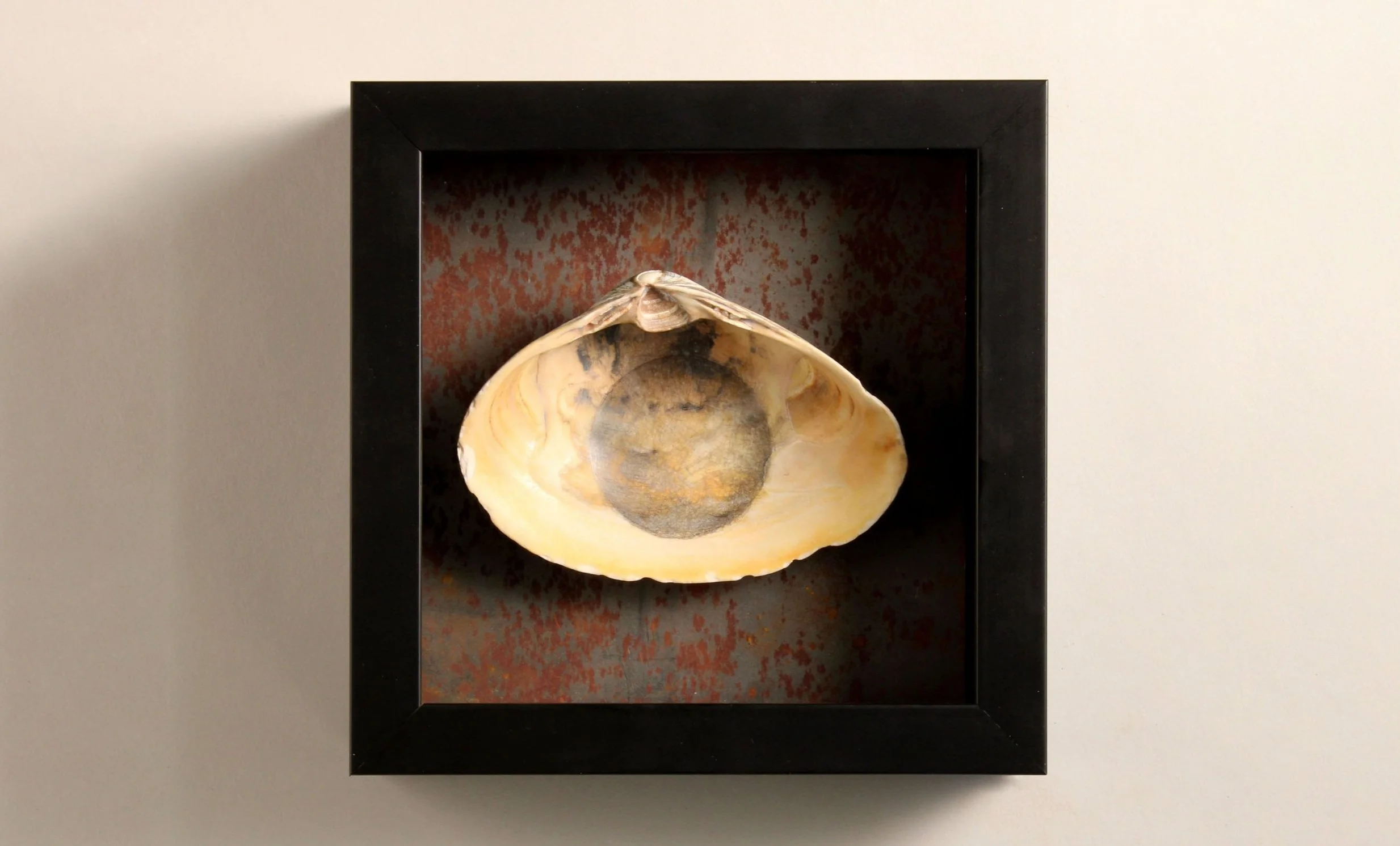 The Center of the Universe: II , 2017–2023 7 x 7 x 2 inches Graphite on seashell, mounted on steel plate with frame