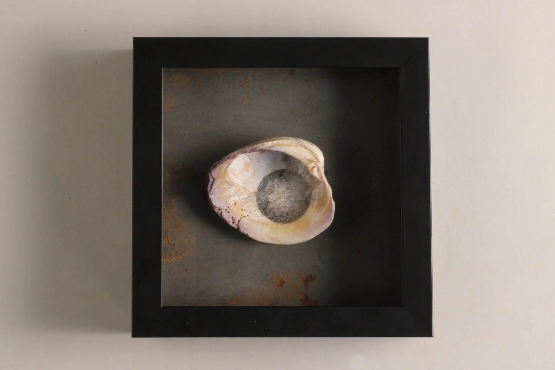 The Center of the Universe: IV , 2017–2023 7 x 7 x 2 inches Graphite on seashell, mounted on steel plate with frame