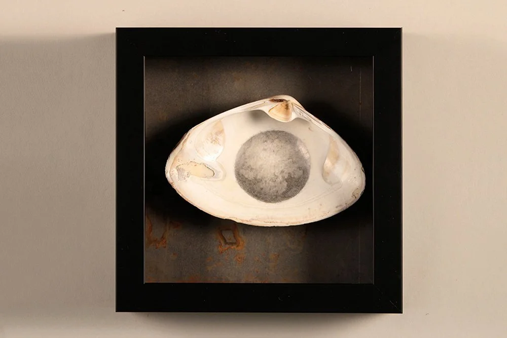 The Center of the Universe: VII , 2017–2023 7 x 7 x 2 inches Graphite on seashell, mounted on steel plate with frame