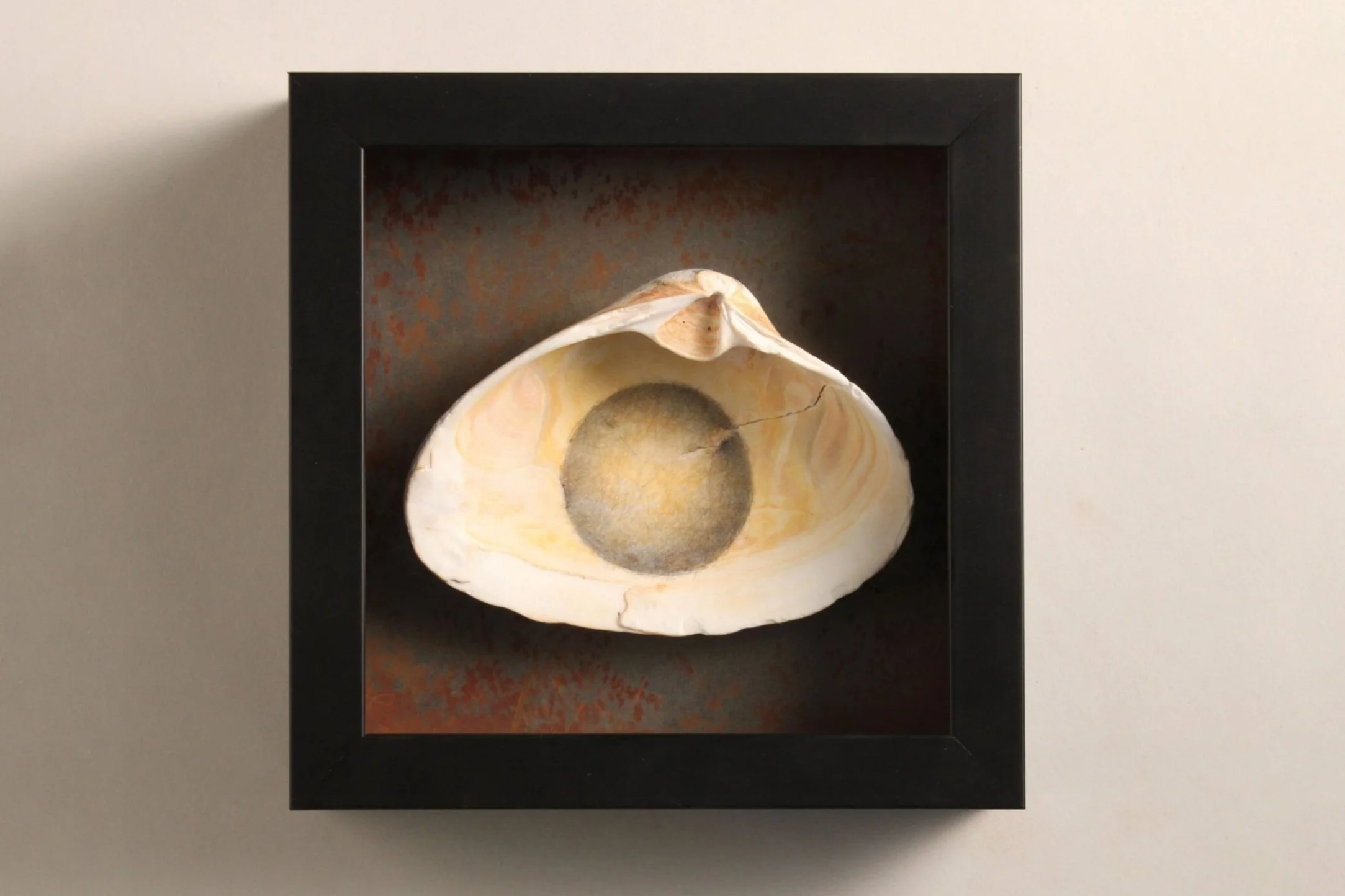 The Center of the Universe: VIII , 2017–2023 7 x 7 x 2 inches Graphite on seashell, mounted on steel plate with frame