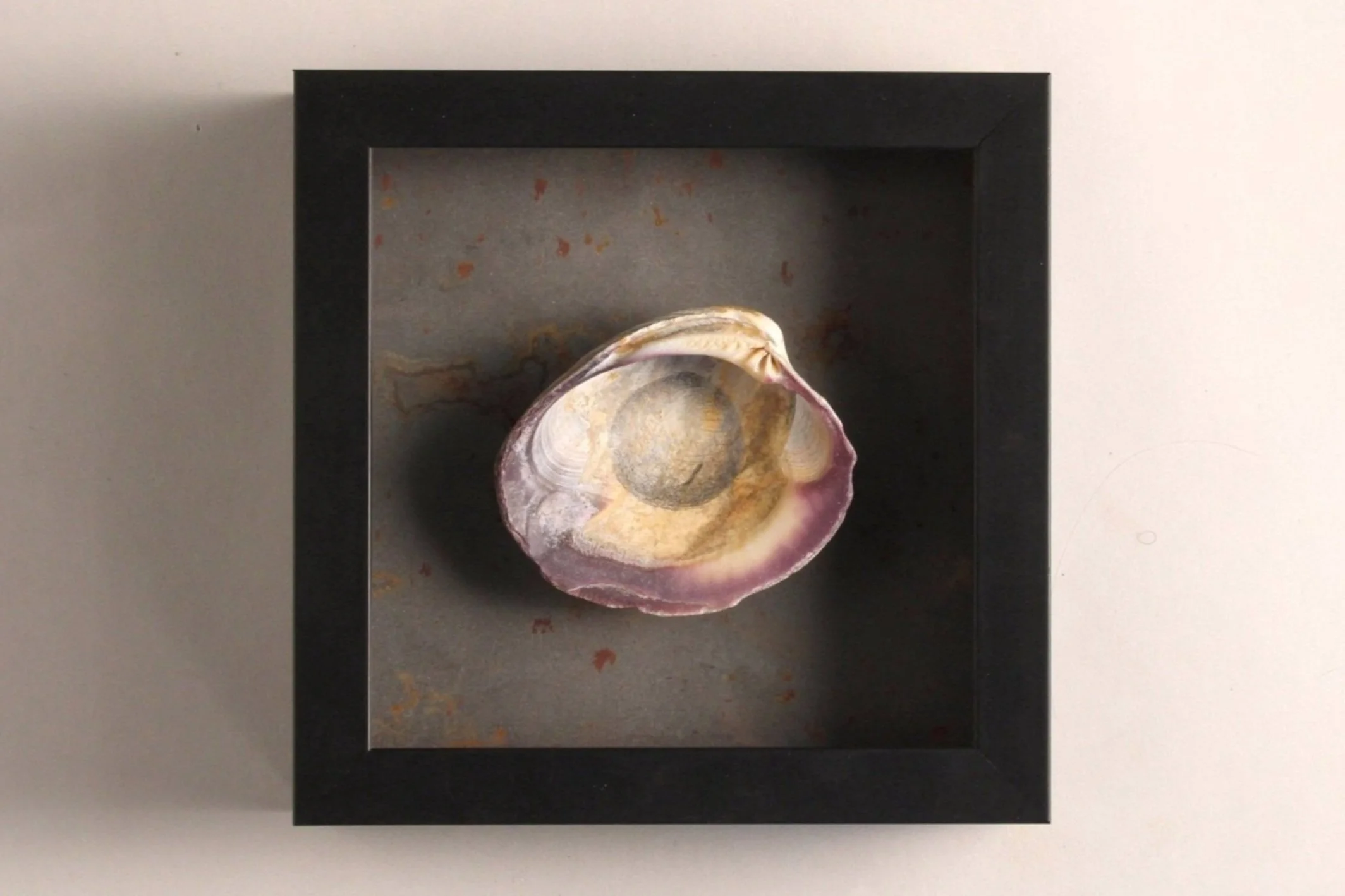 The Center of the Universe: VI , 2017–2023 7 x 7 x 2 inches Graphite on seashell, mounted on steel plate with frame