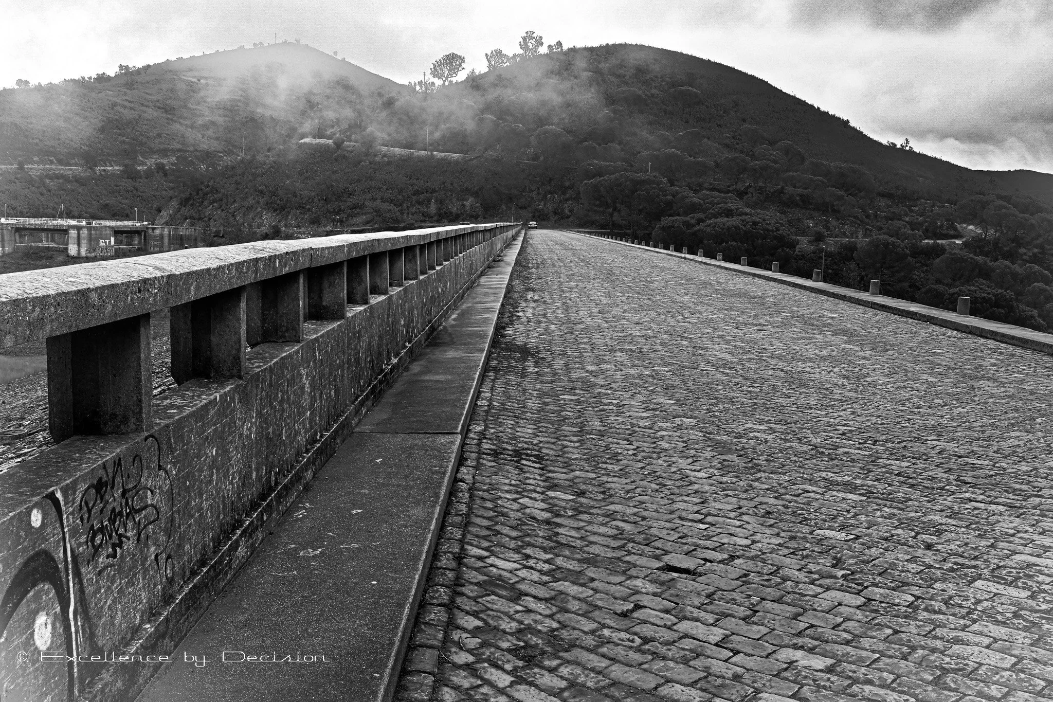 Black and white photo of a cobblestone bridge with a mountain and trees in the background, featuring mist or fog.