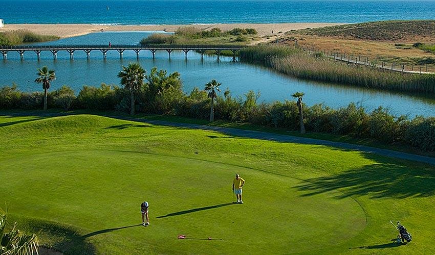 Golf course near water with two golfers preparing to putt, surrounded by palm trees, with a bridge over water and the ocean in the background.