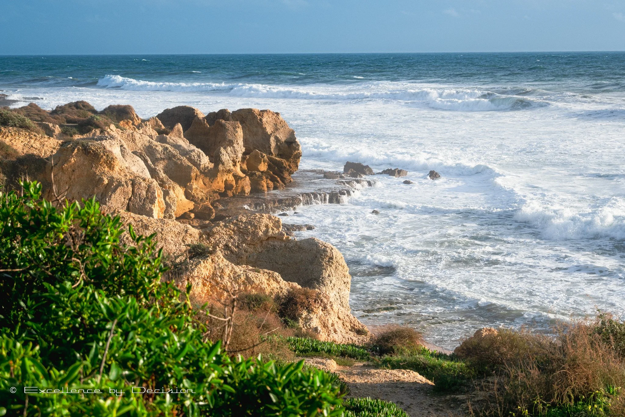 Rocky coastline with waves crashing against cliffs and green vegetation in the foreground
