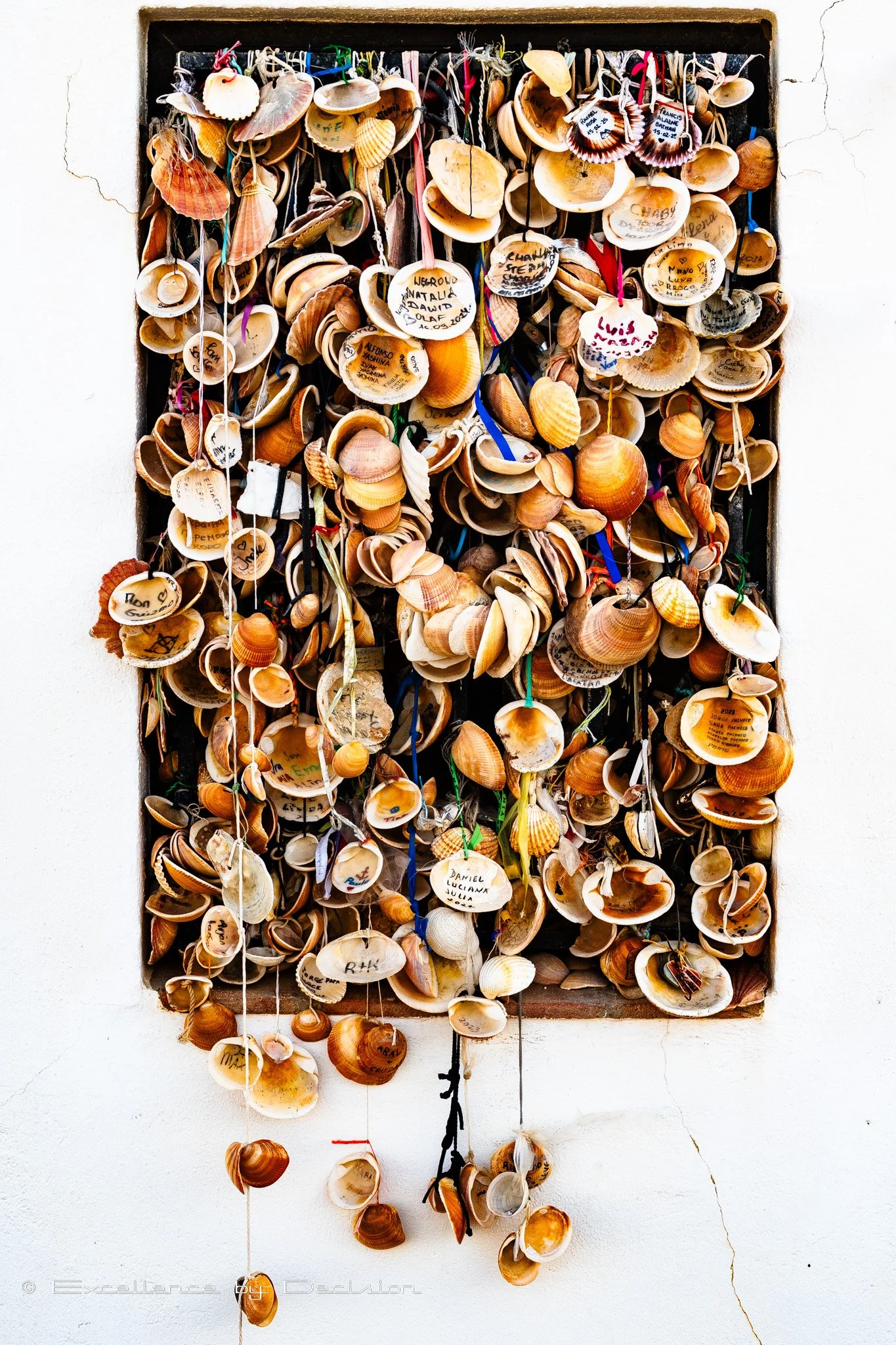 Collection of hanging seashells with names and messages written on them, displayed on a wall.