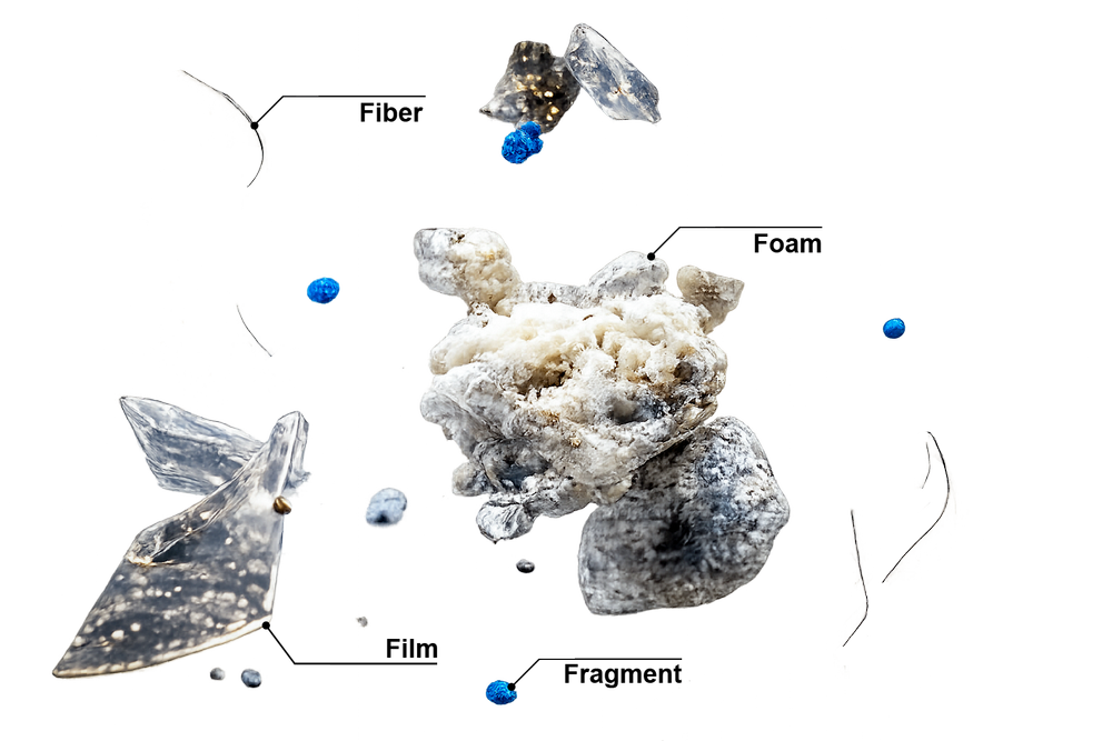 Polygone Systems PolyGone Systems, Systematic Solutions for Microplastic Pollution