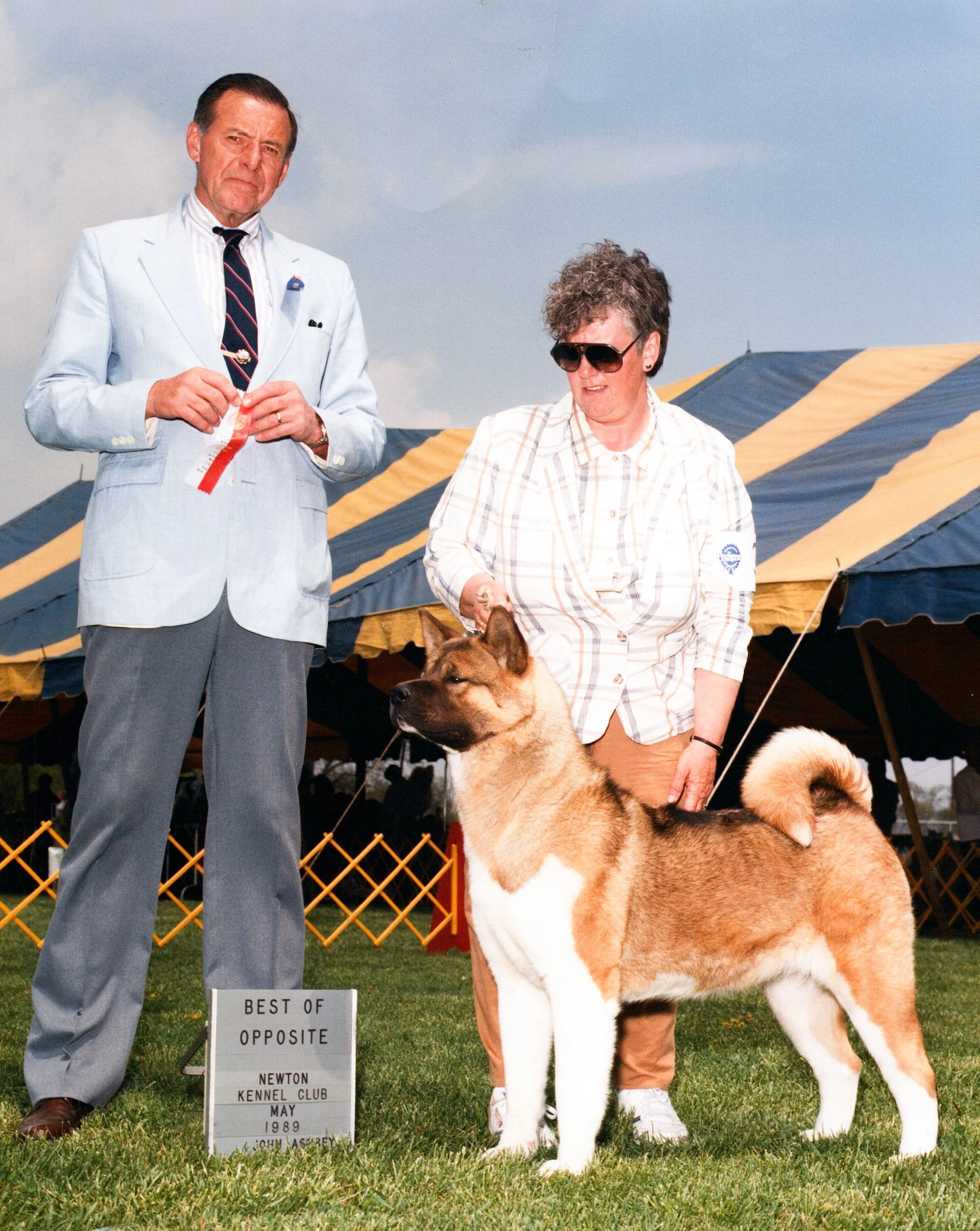 A man in a light-colored suit and striped tie holding a ribbon next to a woman in sunglasses and a plaid shirt, standing behind a large, furry, brown and white dog at an outdoor dog show with yellow and blue tents in the background. A sign in front reads 'Best of Opposite, Newton Kennel Club, May 1989, John Nasrey'.