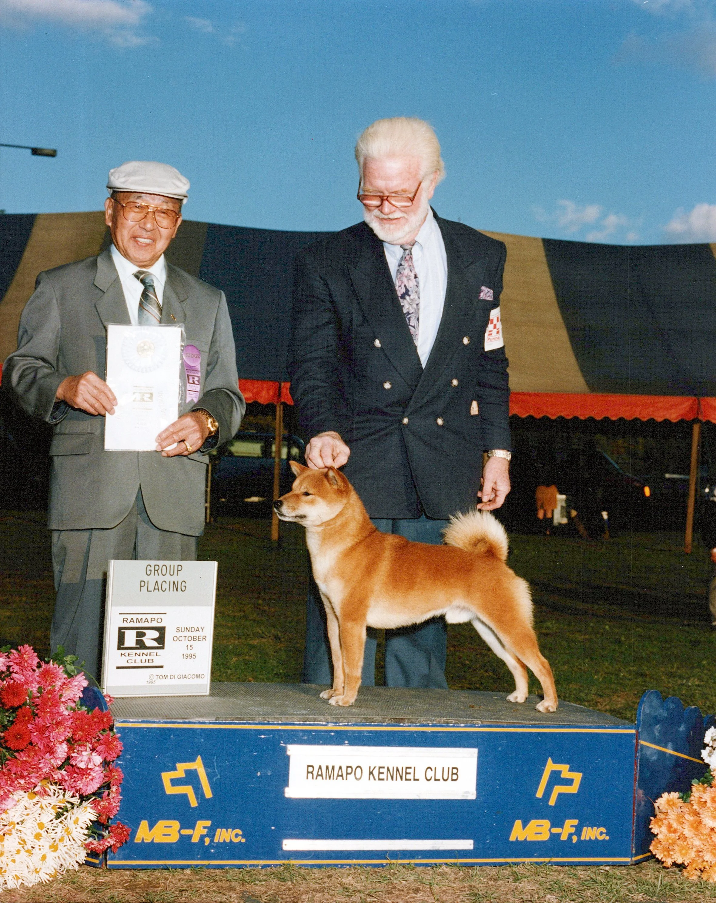 A man in a gray suit holding a certificate and wearing a hat and glasses, standing next to another man in a dark suit with a white beard and glasses, at a dog show with a Shiba Inu dog in front of them, on a stage with floral arrangements and signs f