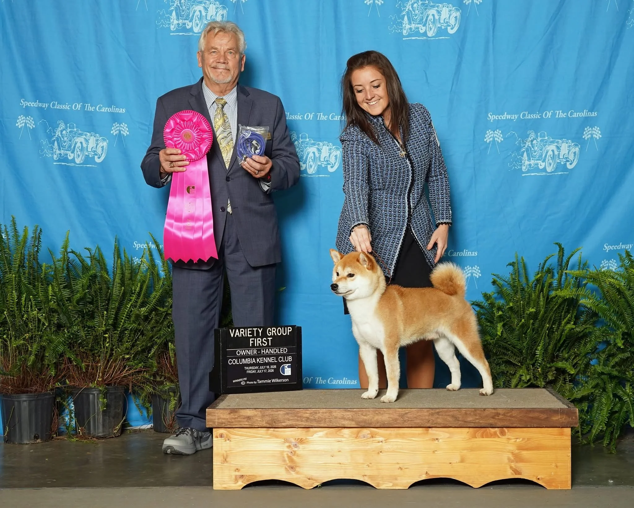 A man in a gray suit and a woman in a patterned jacket stand on either side of a Shiba Inu dog on a wooden platform. The man holds pink and purple ribbons, indicating a first-place win at a dog show. The background features a blue banner with white text and illustrations of racing cars, with green plants in black pots at the bottom.