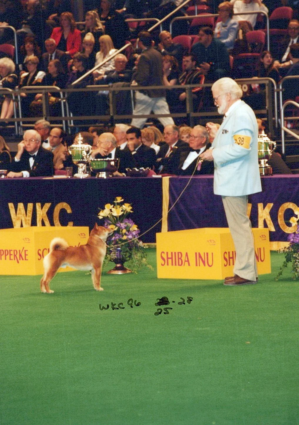 A dog show competition taking place indoors with a Shiba Inu dog being presented by a man in a light blue blazer. The dog is standing on green grass, facing the man, who is holding a leash attached to the dog's collar. The backdrop includes a table with several men in tuxedos, some wearing medals, and an audience seated in the background. There are yellow banners with red text reading "SHIBA INU" and "WKC" and a purple drape with gold lettering. The dog and the man are near a floral arrangement in a vase.