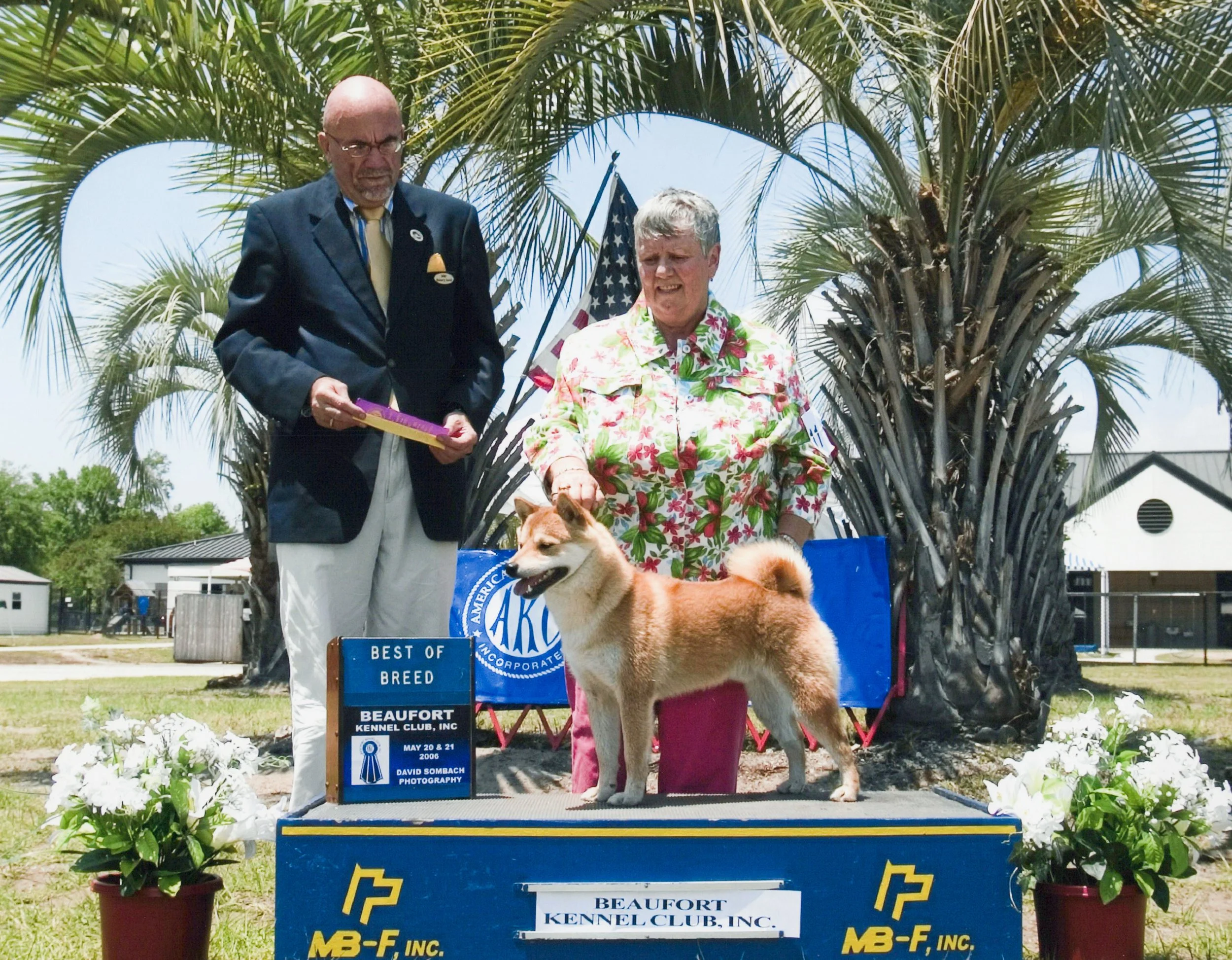 A woman and a man standing behind a dog on a winning dog show platform, with a palm tree and American flag in the background. The platform displays a sign for the Beaufont Kennel Club, Inc., with a ribbon graphic.