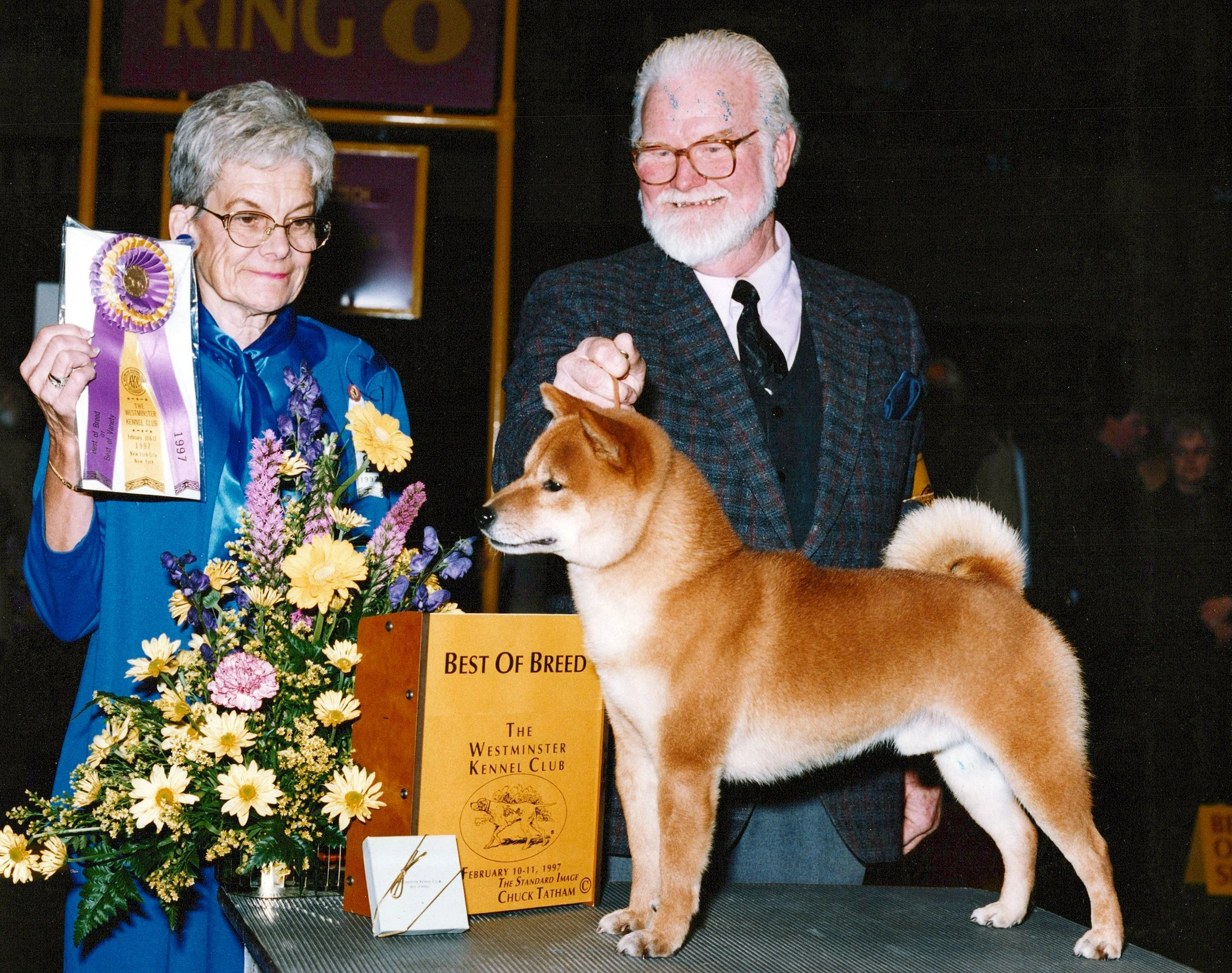 A woman and a man at a dog show, with the woman holding a purple ribbon and a bouquet of flowers, and a large dog standing in front of them. The woman is wearing glasses, earrings, and a blue outfit, while the man has white hair and beard, glasses, and is wearing a dark plaid jacket. There is a sign that reads "Best of Breed" and a smaller sign with the Westminister Kennel Club logo.