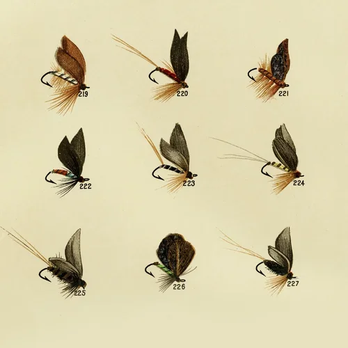Tie Flies with Brenden Paradies