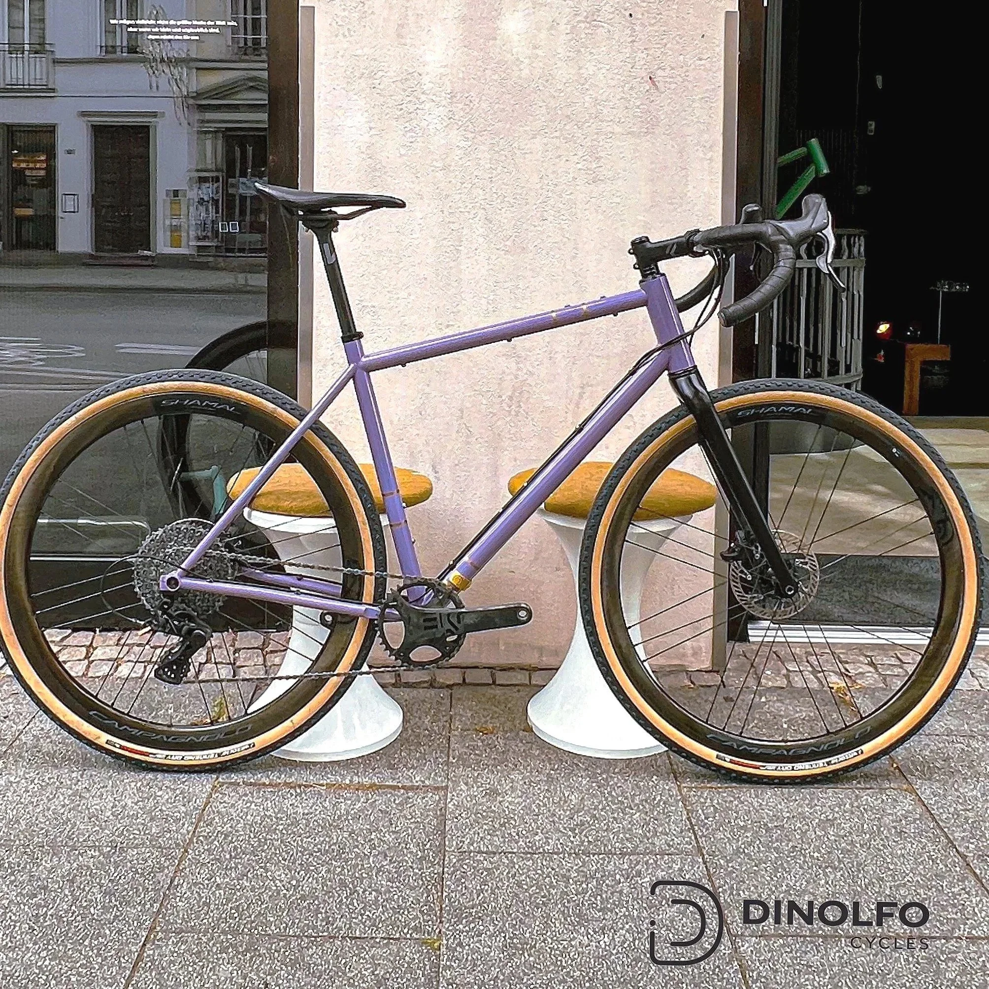 DINOLFO Gravelbike Gr.:M komplett Campa EKAR perlbrombeer