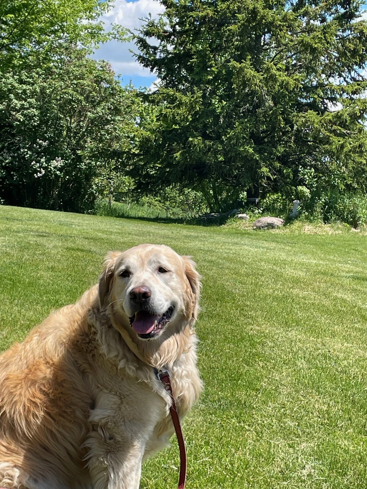 Marlee.jpg