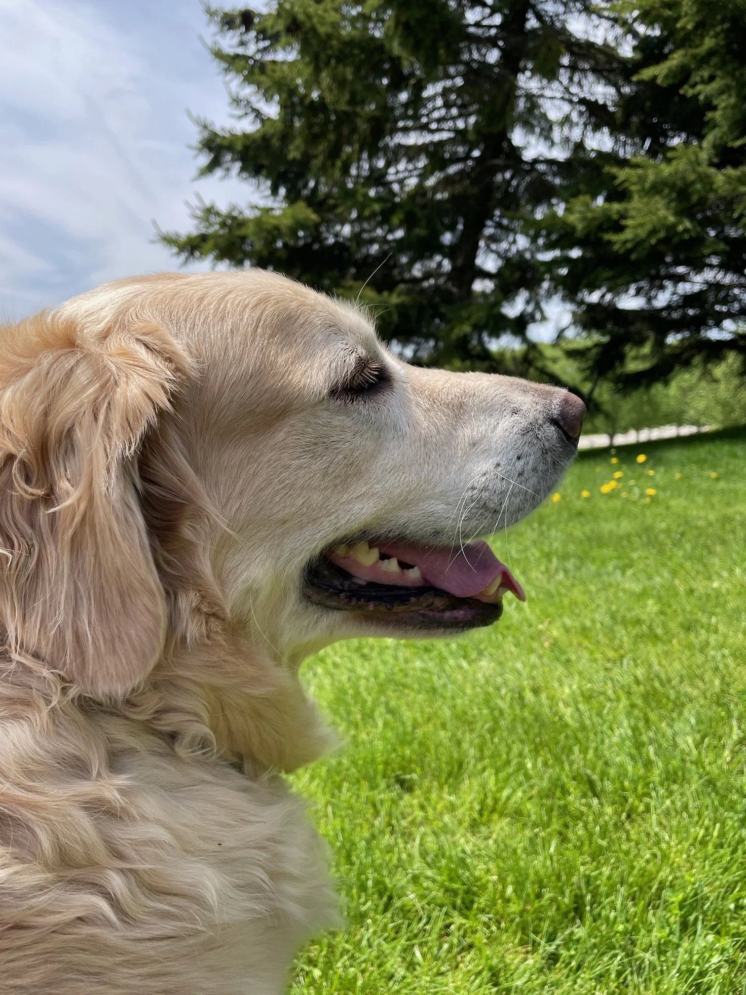 Marlee 2.jpg