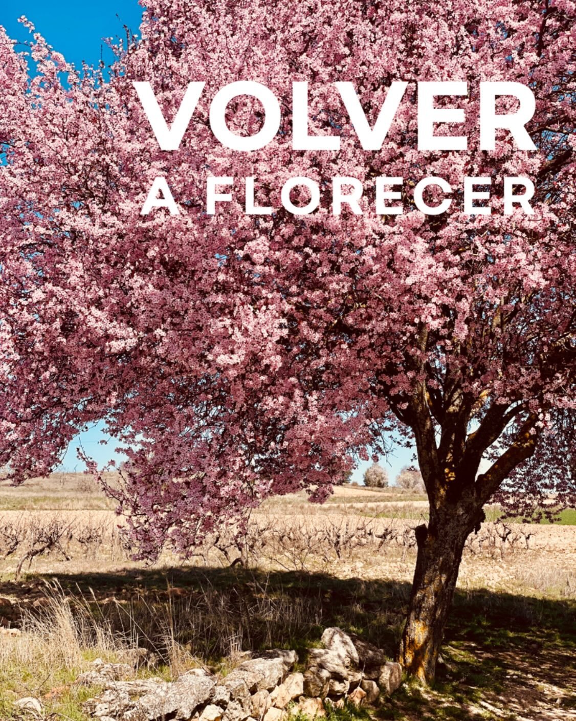VOLVER A FLORECER 🌸

Hay algo que el campo nos recuerda cada primavera.

Durante meses el &aacute;rbol parece seco. 
Quieto. 
Como si nada estuviera pasando.

Y de repente, un d&iacute;a, explota en flores.

Con muchas casas de los pueblos ocurre al