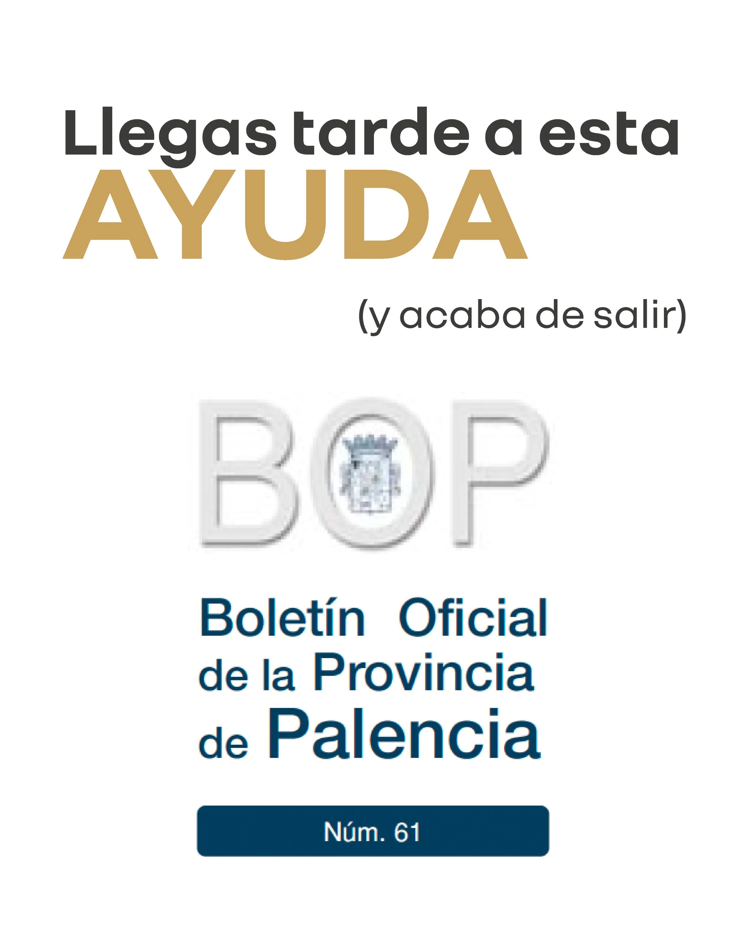 &iquest;Esperas a que salga la subvenci&oacute;n para empezar a mover tus papeles? 🛑 &iexcl;ERROR GARRAFAL! Y te lo voy a demostrar con un caso real.

Se acaba de publicar en el Bolet&iacute;n Oficial de Palencia (BOP) una ayuda muy potente para j&o
