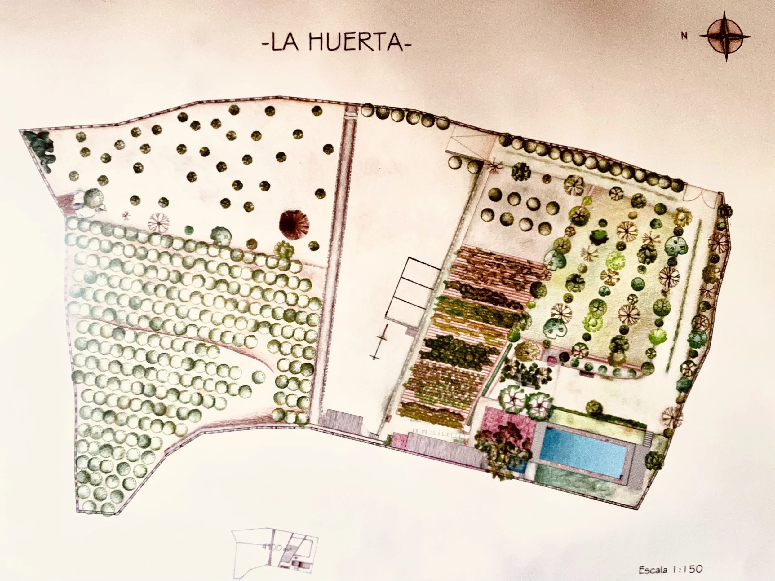 2025-07-08 19.56.14.jpg