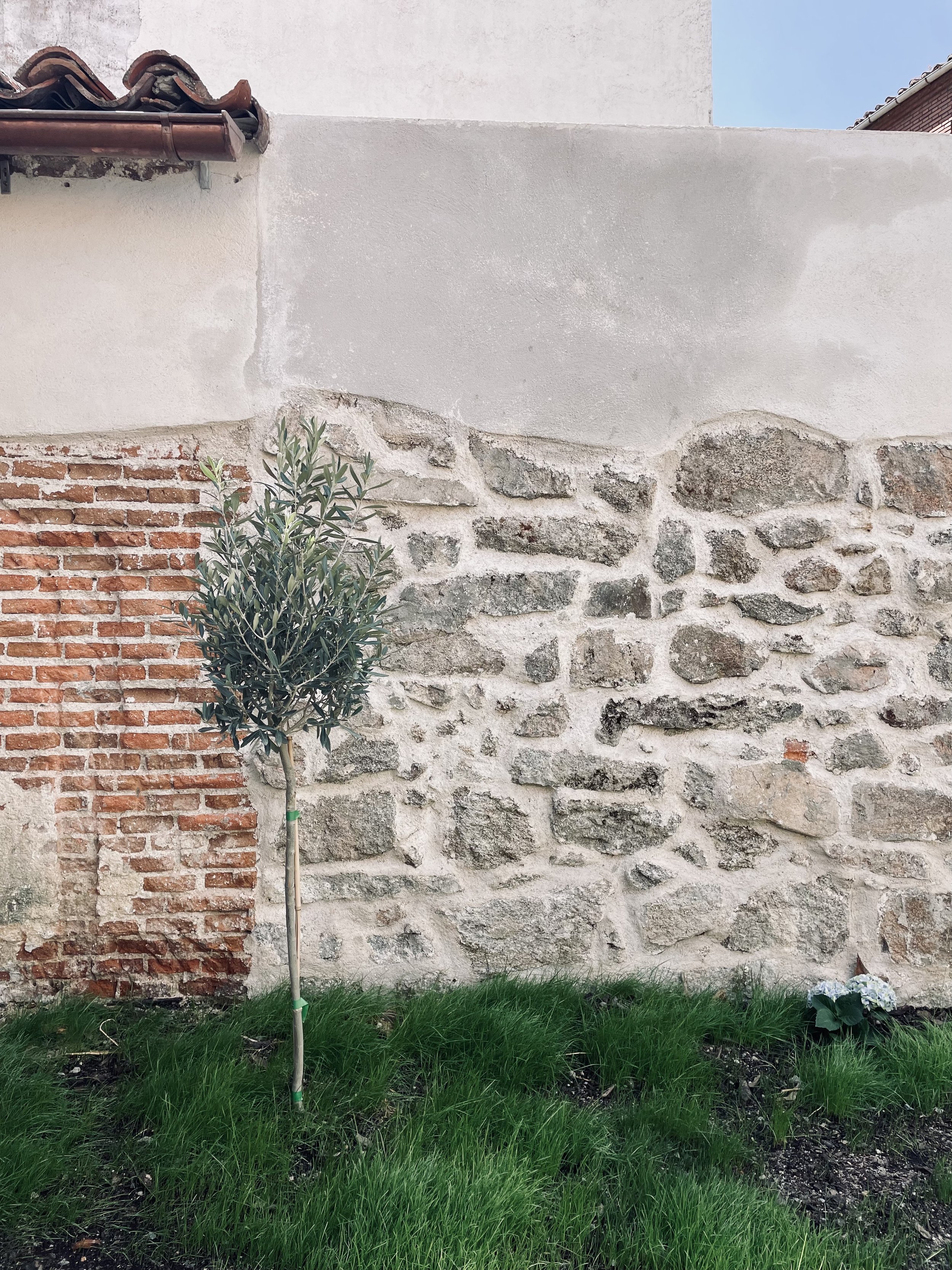 2024-08-22 12.56.08.jpg