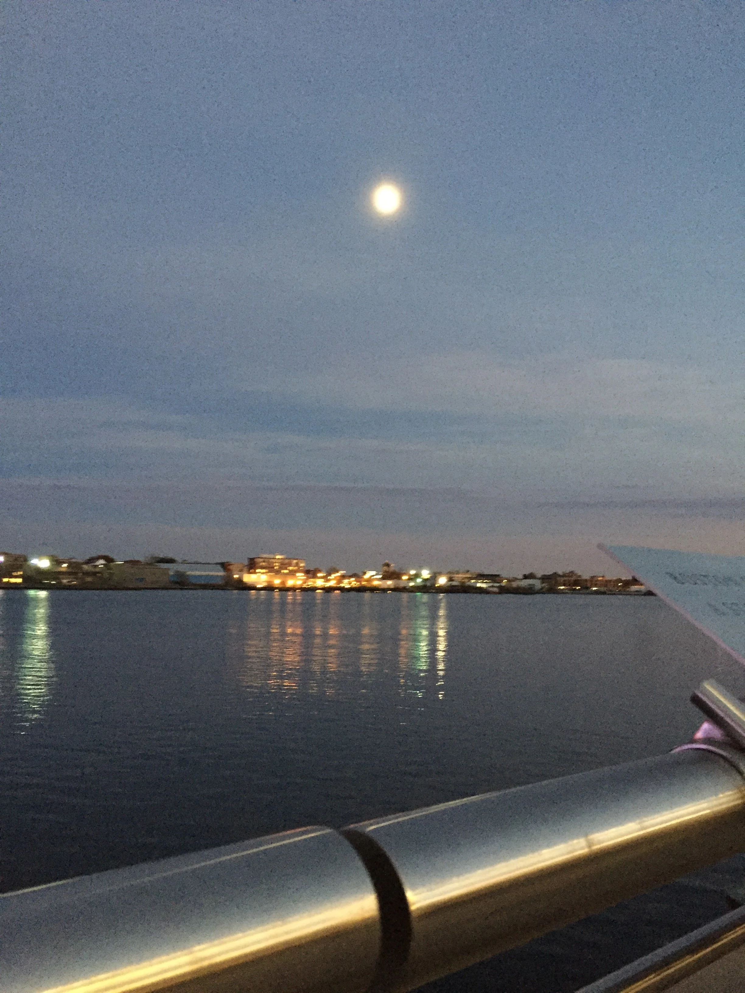 On my last night of rehab, a full moon greeted me over the Charles River.  It was this moment, mourning a family pet, that I discovered I could not cry from my left eye.