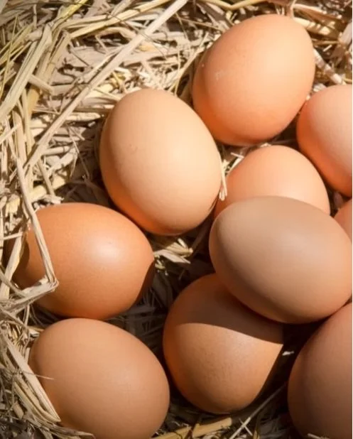 A close-up of several brown eggs arranged on a bed of straw or hay.