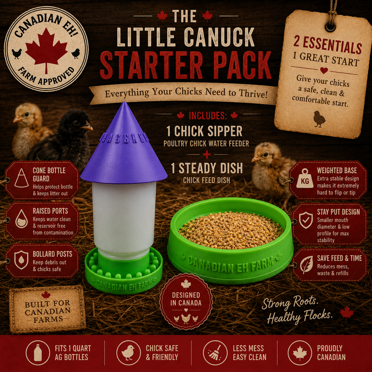 Infographic with a dark wooden background showing a chicken waterer and feed bowl from Canadian EH Farm. The waterer is purple and white with a green weighted base, and the feed bowl is green filled with chicken feed. Chickens are pictured around the products. The infographic details starter pack contents, features, and benefits for raising chicks, emphasizing safety, stability, and Canadian origin.