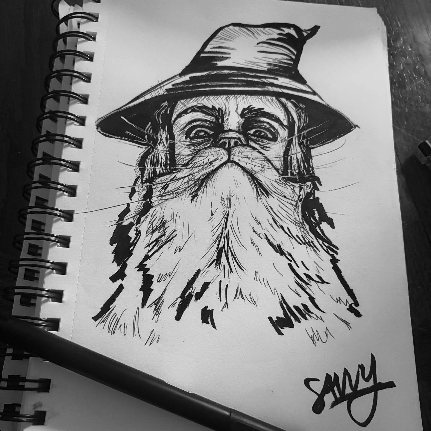 #inktober day 1: mustache 🐱 this year for Inktober, I’m gonna go the classic route and do the prompts in pens only. Meet Gandalf the Grrrrrrrrey #art #savvyart #october #drawing #ink #inktober2025 #inktoberday1