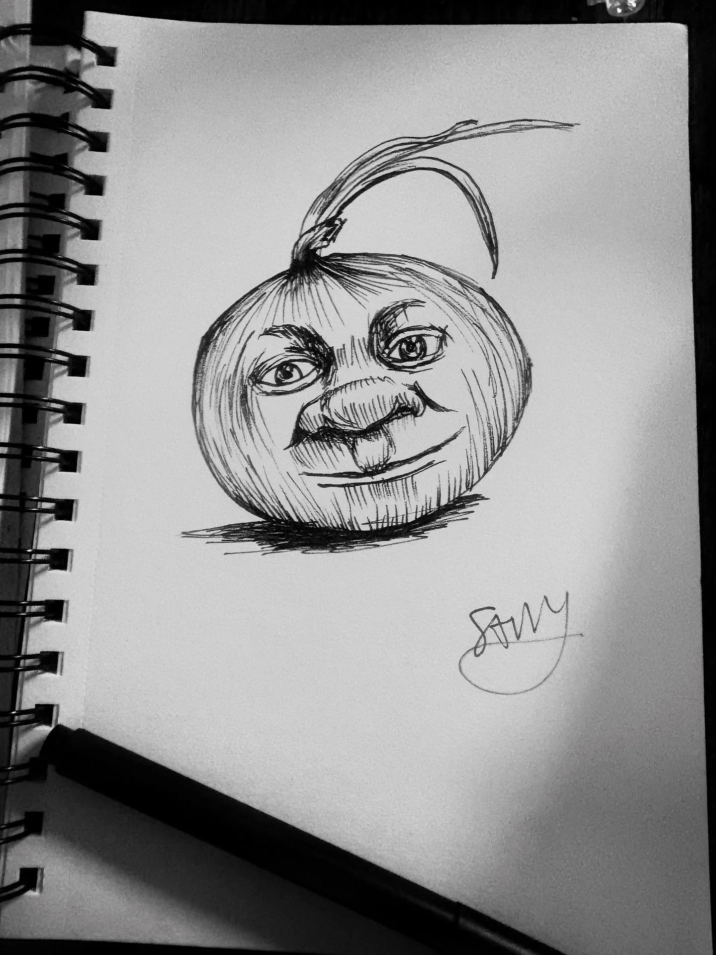 #inktober day 27: onion 🧅 Ogres are like onions&hellip;.. #shrek #onion #inktoberday27 #drawing @inktober #pendrawing #art #savvyart