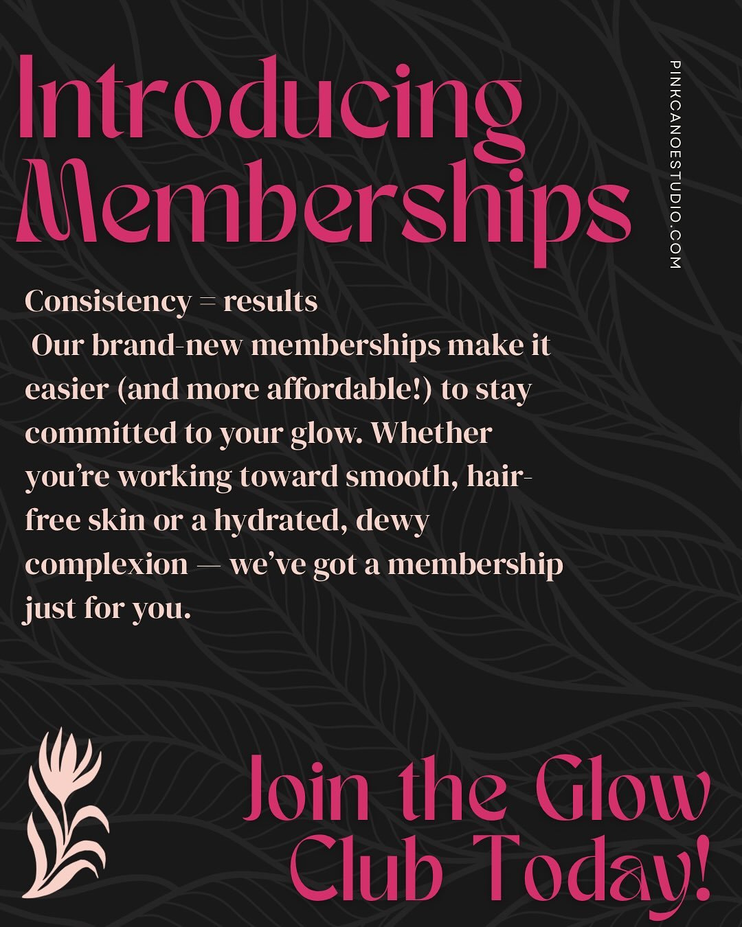 It&rsquo;s official &mdash; The Pink Canoe Studio is now offering exclusive memberships designed to help you stay consistent, save money, and see real results! 💫

Whether you&rsquo;re ready for silky-smooth confidence with our Laser Hair Removal Mem