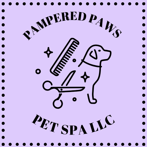 Doggie Daycare Pampered Paws Dog Boarding Cheap Pampered Paws Pet